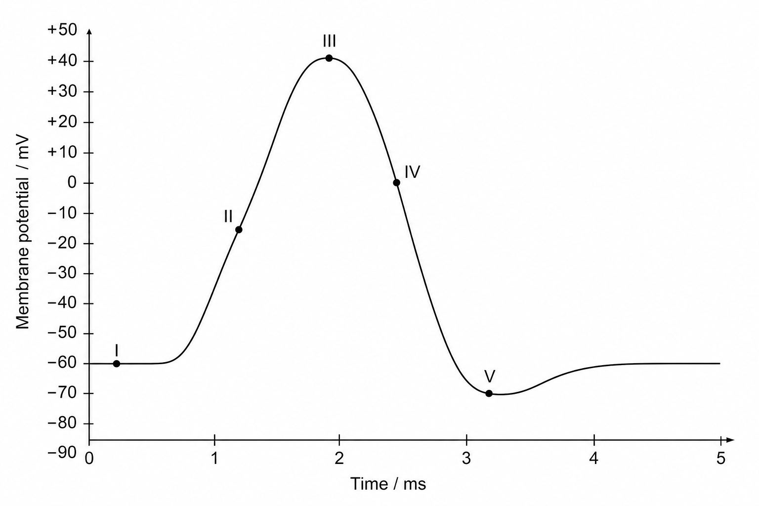 Action potential graph