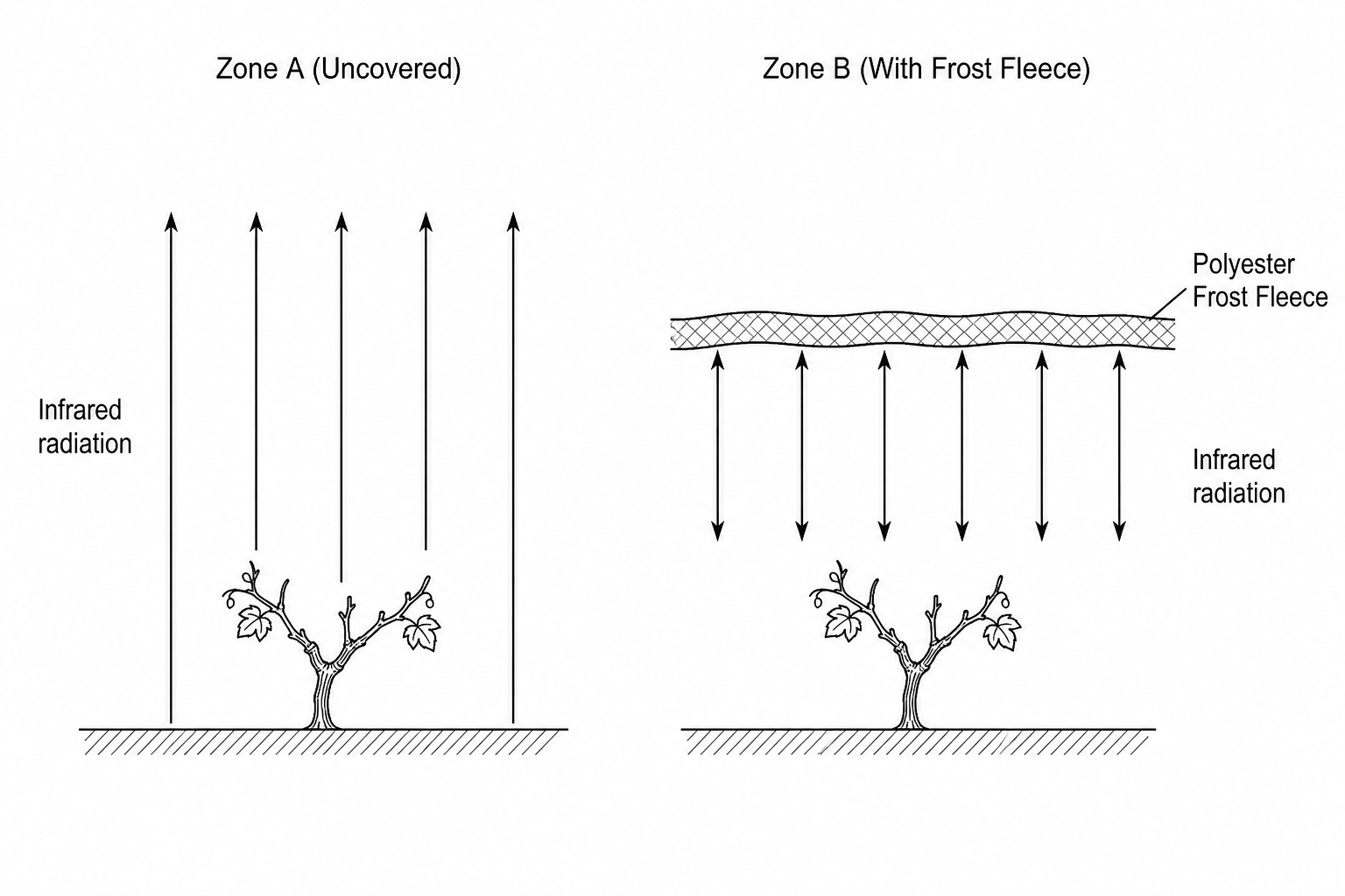 Diagram comparing agricultural frost-protection zones