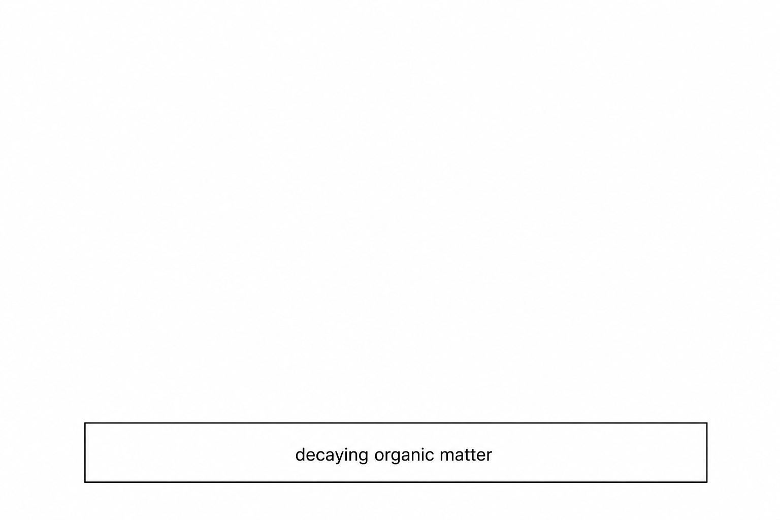 A diagram showing a single horizontal rectangle at the bottom labeled 'decaying organic matter'. Above it, there is blank space to draw the remaining trophic levels of the pyramid of biomass.