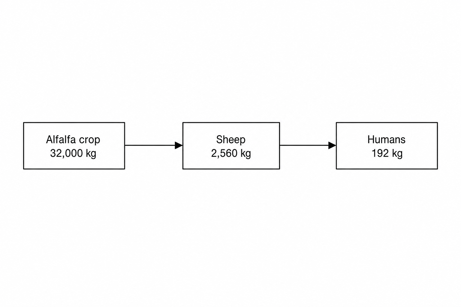 A block diagram representing an alfalfa-sheep-human food chain.