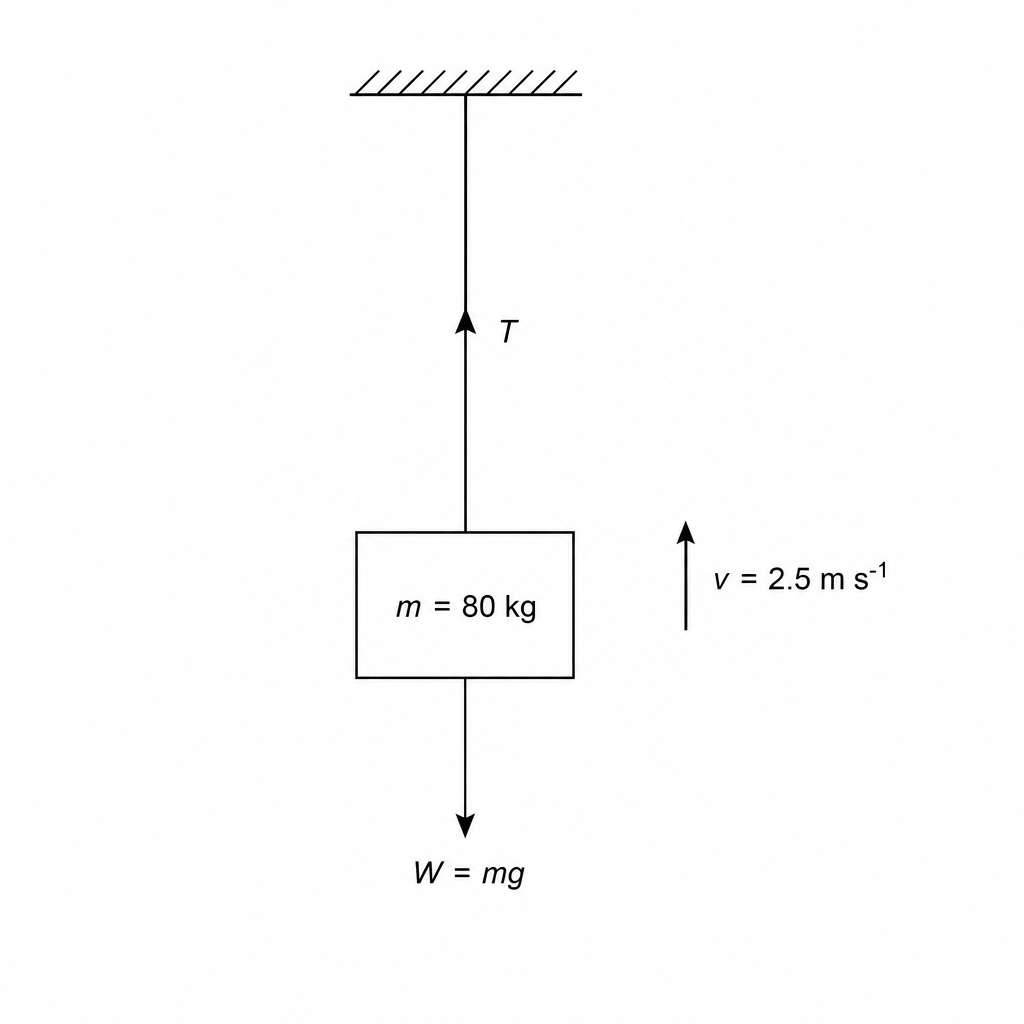Crate Lift Diagram