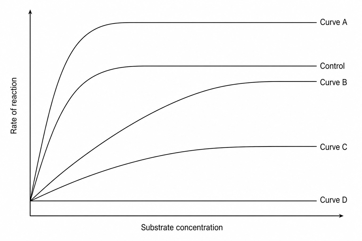 Enzyme kinetics graph showing multiple curves