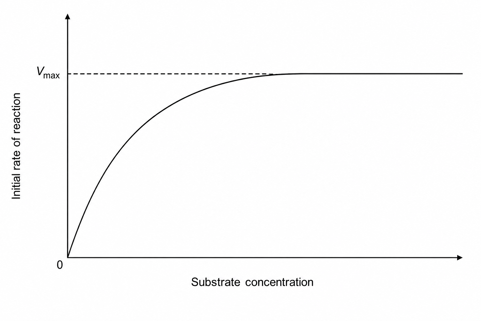 Graph showing the initial rate of an enzyme-catalysed reaction on the y-axis plotted against the substrate concentration on the x-axis.
