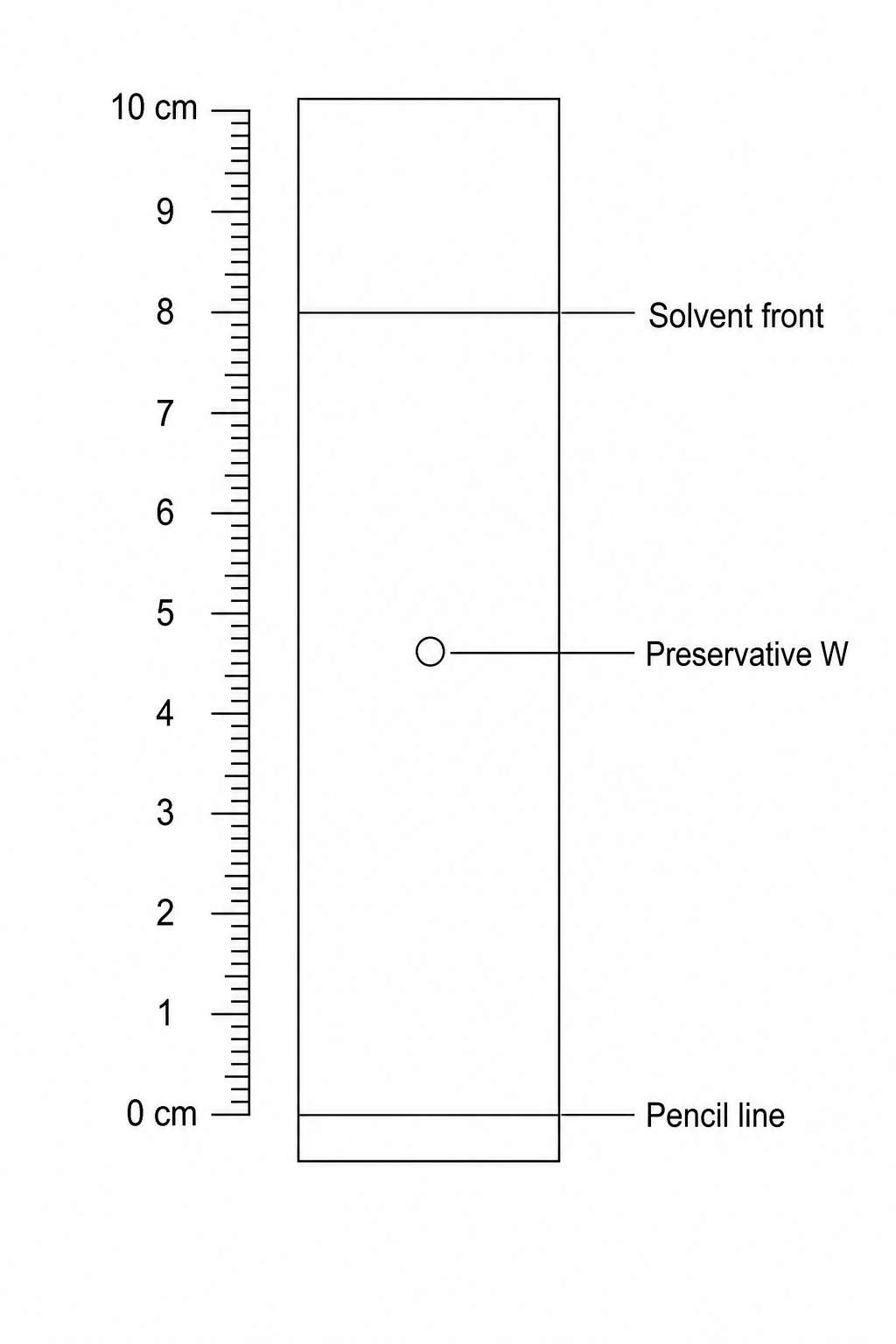 A thin layer chromatogram diagram showing a vertical rectangular plate next to a centimeter ruler. The ruler on the left runs from 0 cm at the bottom to 10 cm at the top, graduated with millimeter marks. At the 0 cm mark, a horizontal line labeled 'Pencil line' is drawn across the plate. At the 8.0 cm mark, a horizontal line labeled 'Solvent front' is drawn. A single dark circular spot for Preservative W is shown on the plate, with its center perfectly aligned at the 4.6 cm mark. The label 'Preservative W' is written at the bottom of the plate.