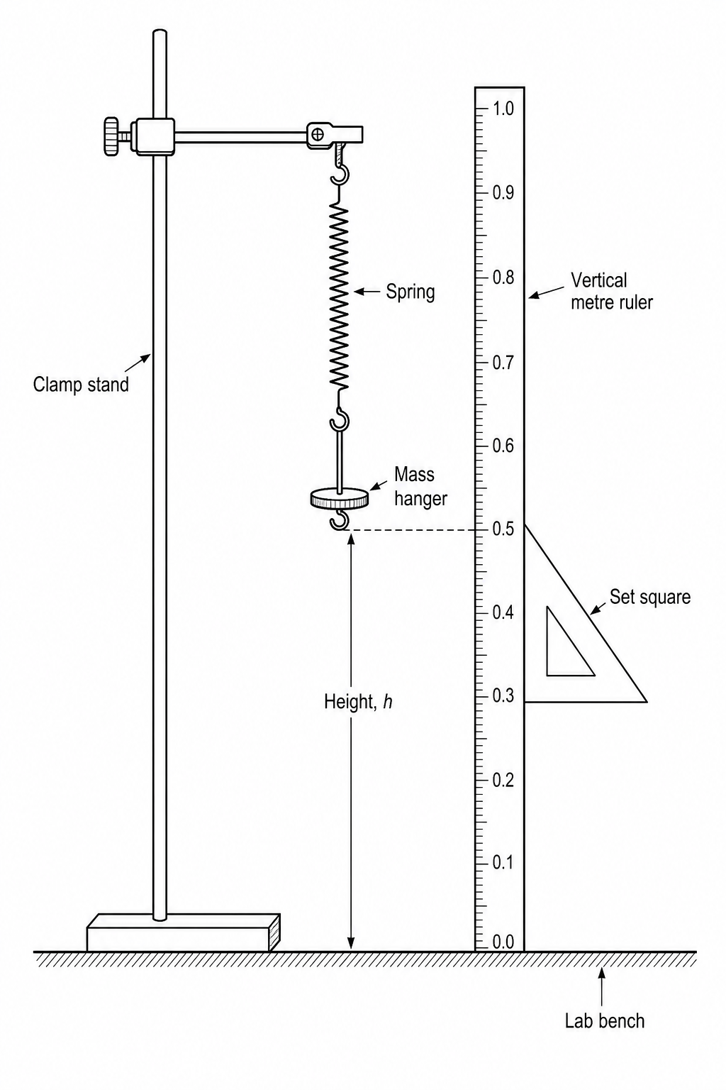A spring suspended vertically from a clamp stand with a mass hanger attached to the bottom. A metre ruler is positioned vertically alongside the spring setup to measure the height of the bottom of the mass hanger from the lab bench.