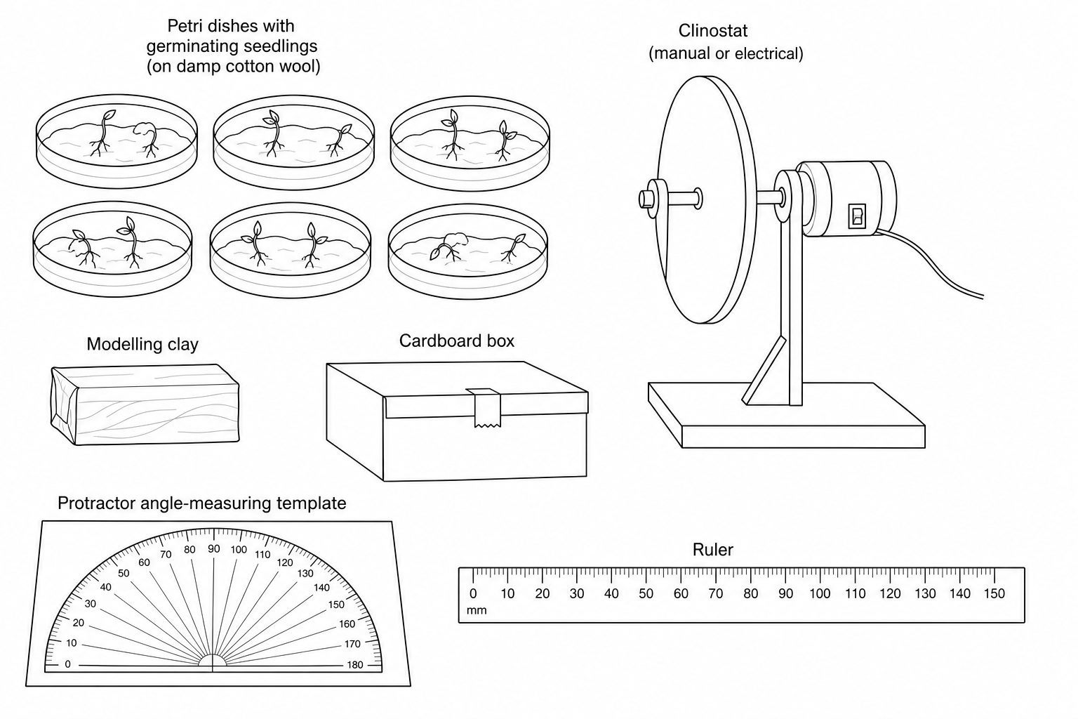 Equipment available for the gravitropism investigation: several petri dishes containing germinating seeds on damp cotton wool, a packet of modeling clay, a template sheet with a protractor, a cardboard box, a clinostat (a motorized device that slowly rotates), and a ruler.