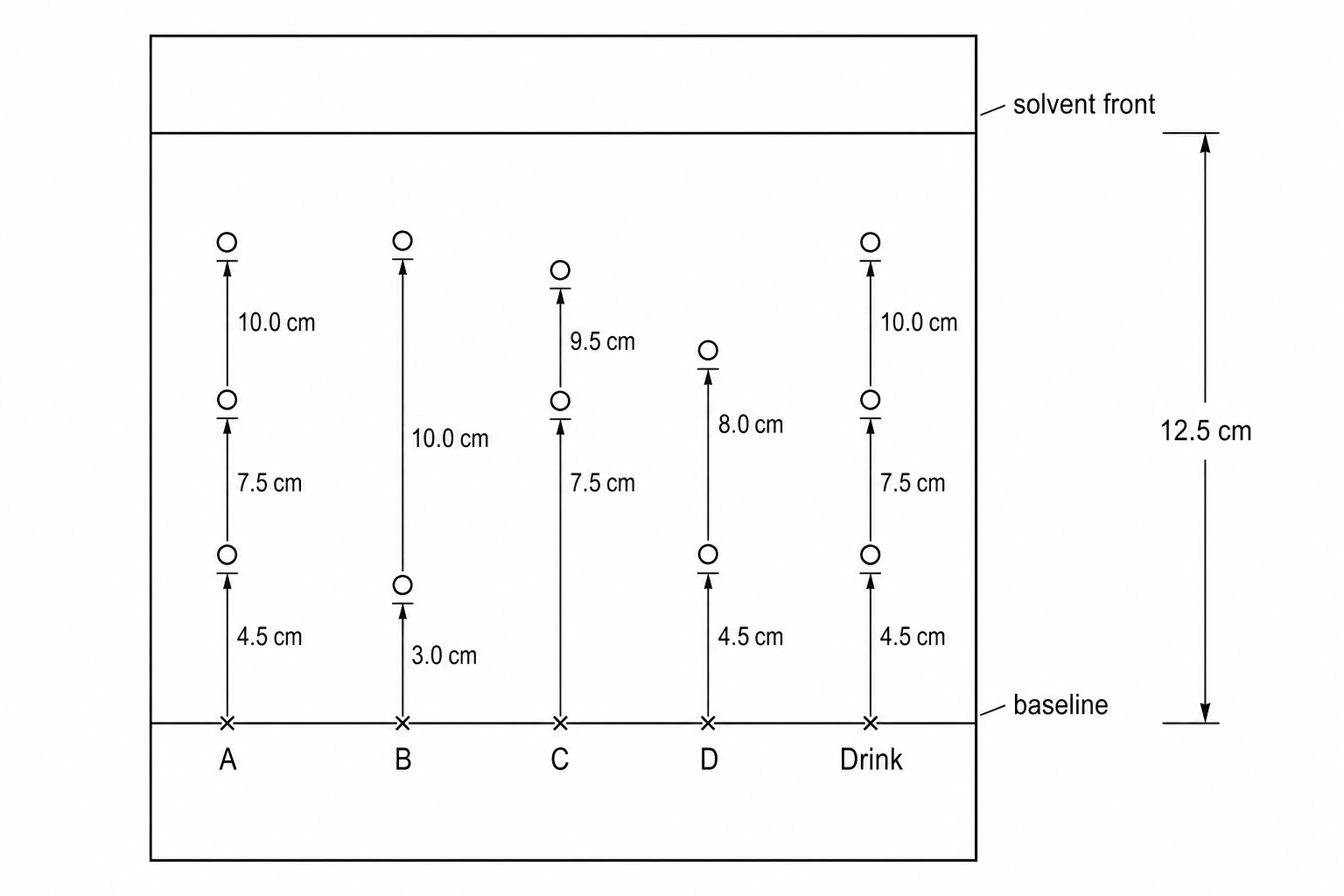 Paper chromatogram for sports drink analysis