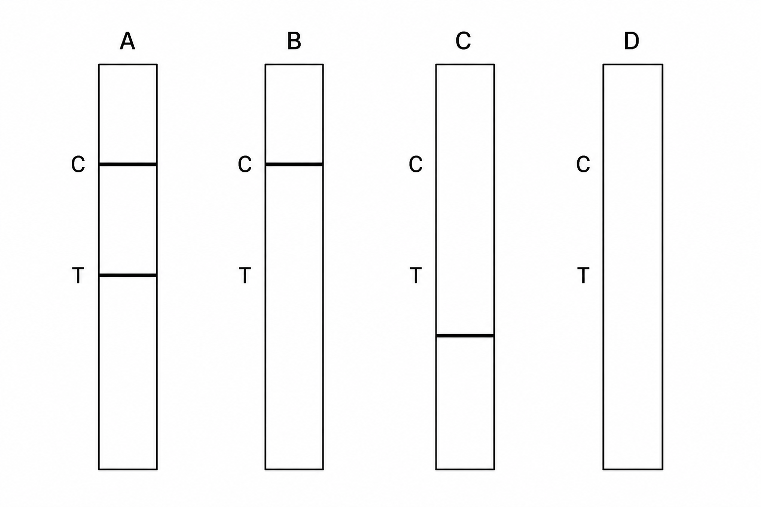 Four lateral flow test strips labeled A, B, C, and D