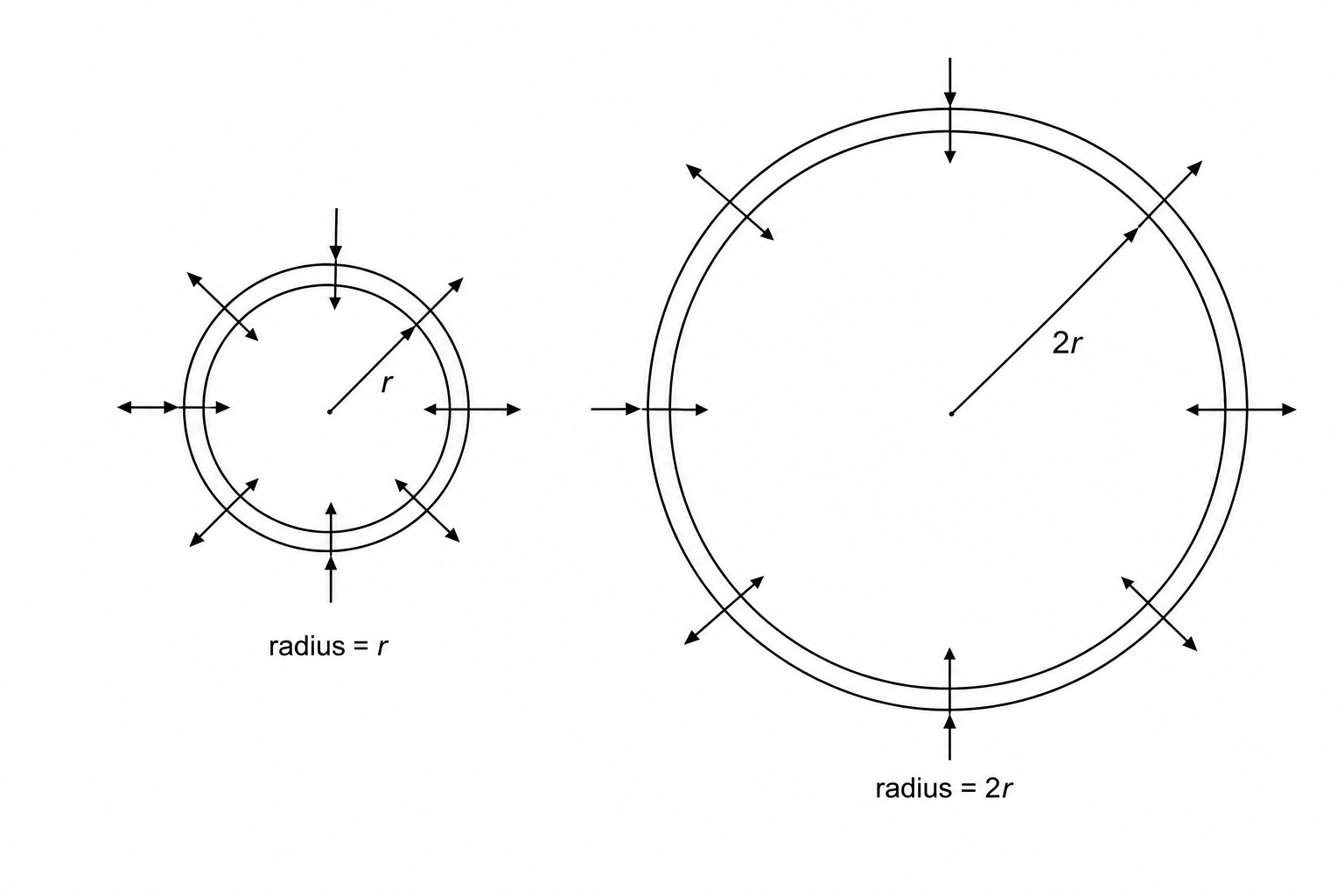 Comparison of diffusion into two model cells of radius r and 2r