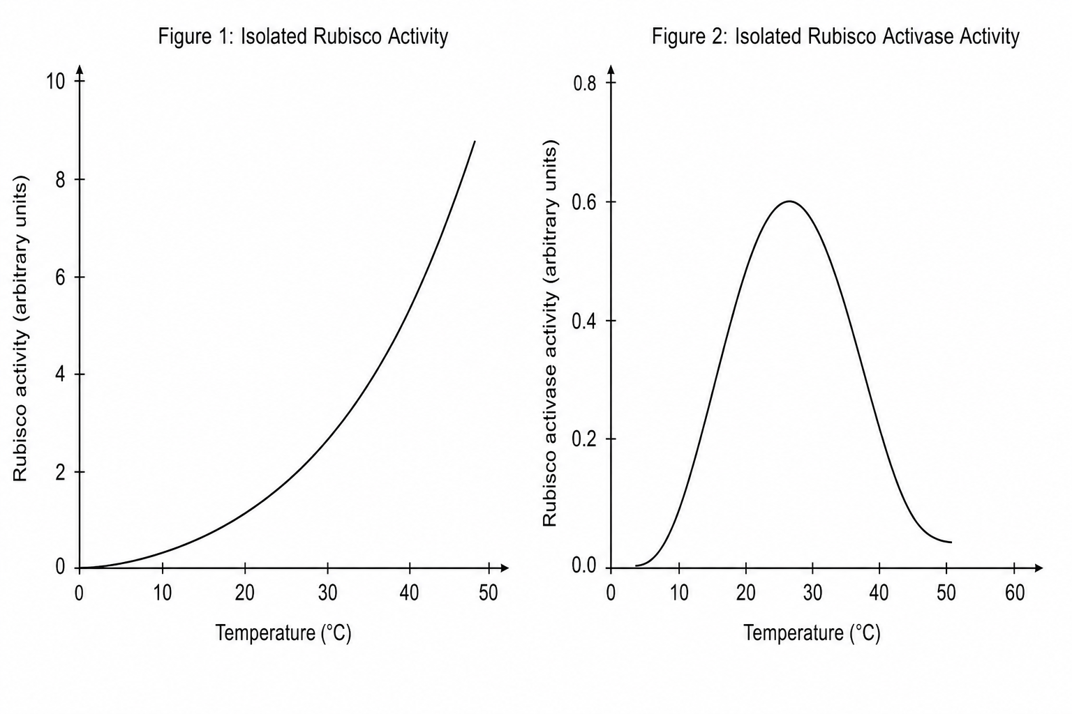 Figure 1: Isolated Rubisco Activity and Figure 2: Isolated Rubisco Activase Activity