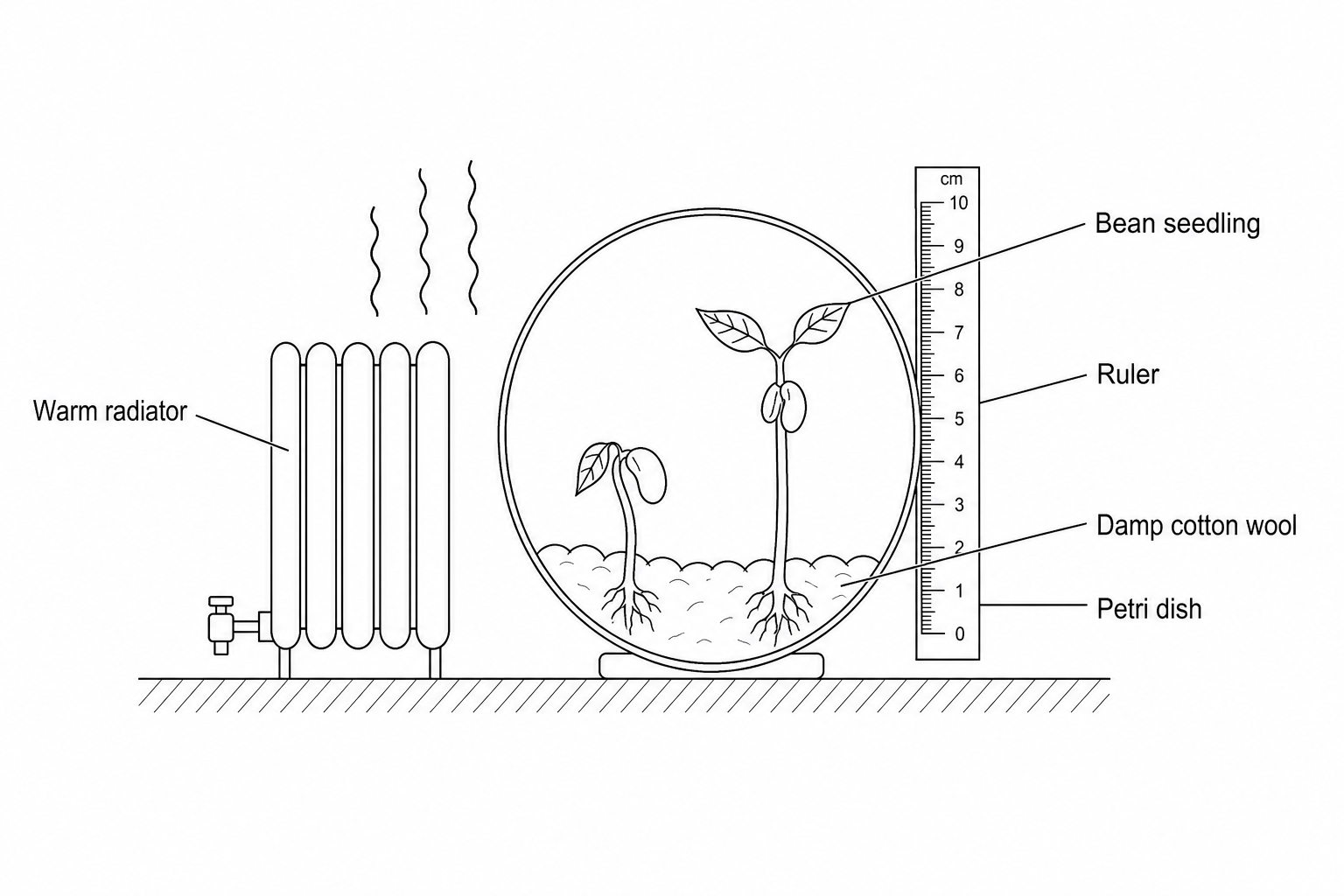 Figure 1: Experimental setup next to a radiator