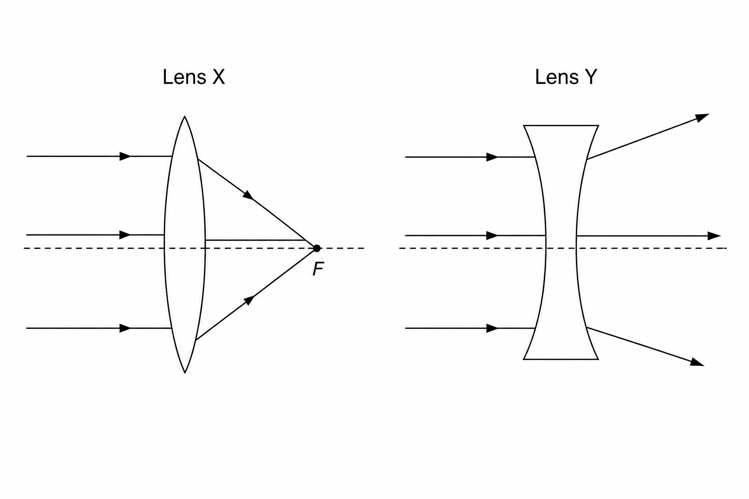 Two ray diagrams. Diagram X shows three parallel, horizontal incident light rays traveling from left to right. They pass through a double-convex glass lens, Lens X, and refract inwards, converging to meet at a single focal point on the right side of the lens. Diagram Y shows three parallel, horizontal incident light rays traveling from left to right. They pass through a double-concave glass lens, Lens Y, and refract outwards, spreading apart or diverging as they exit the lens. The principal axis is shown as a horizontal dashed line in both diagrams.
