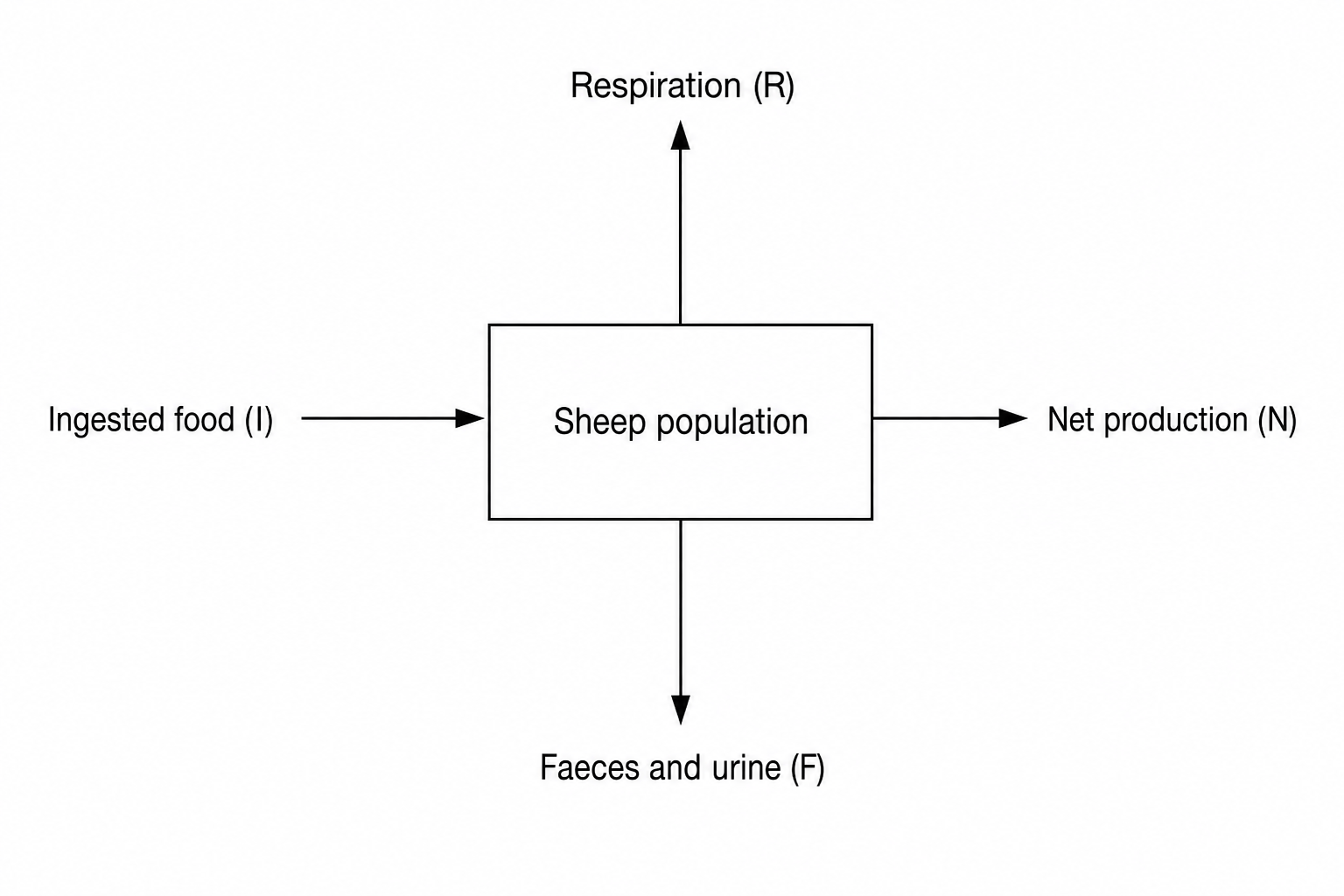 Energy flow diagram through a sheep population