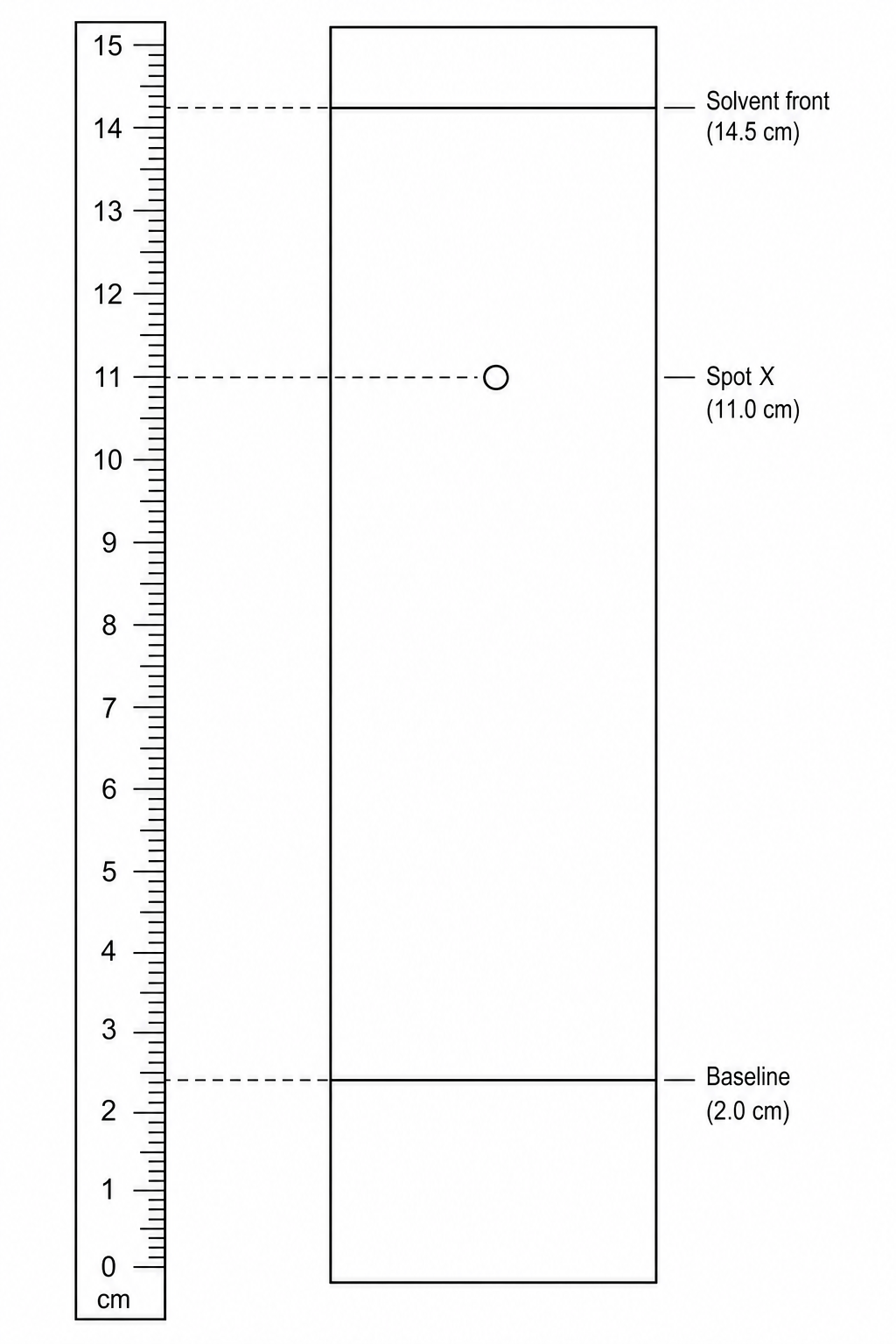 Chromatogram