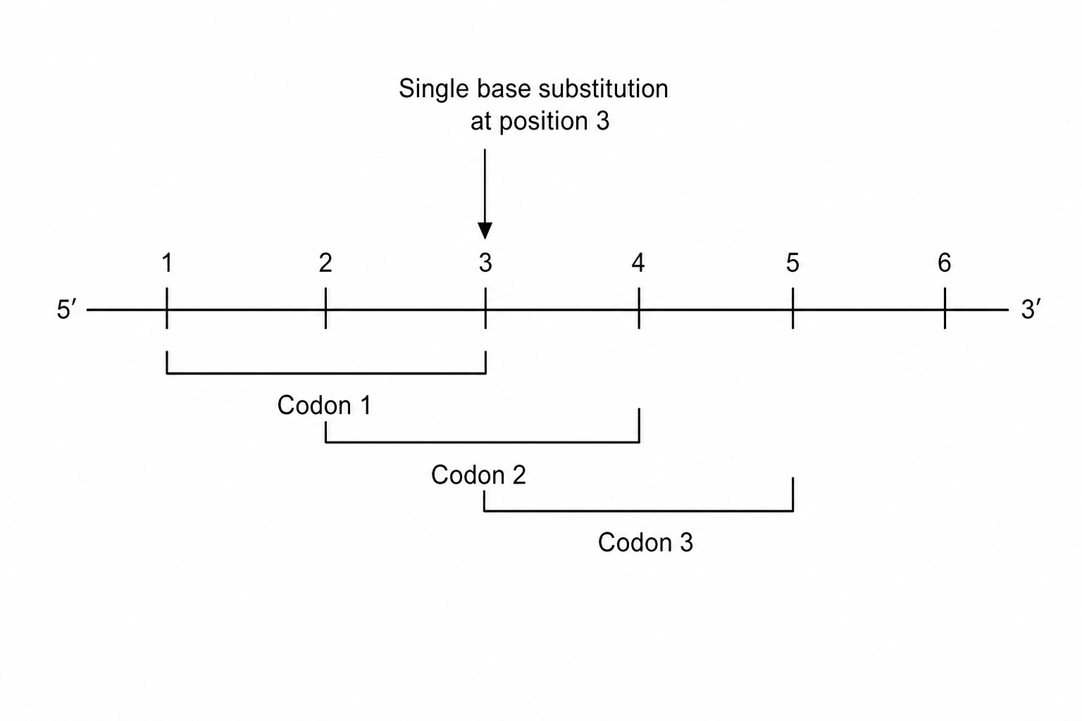overlapping genetic code