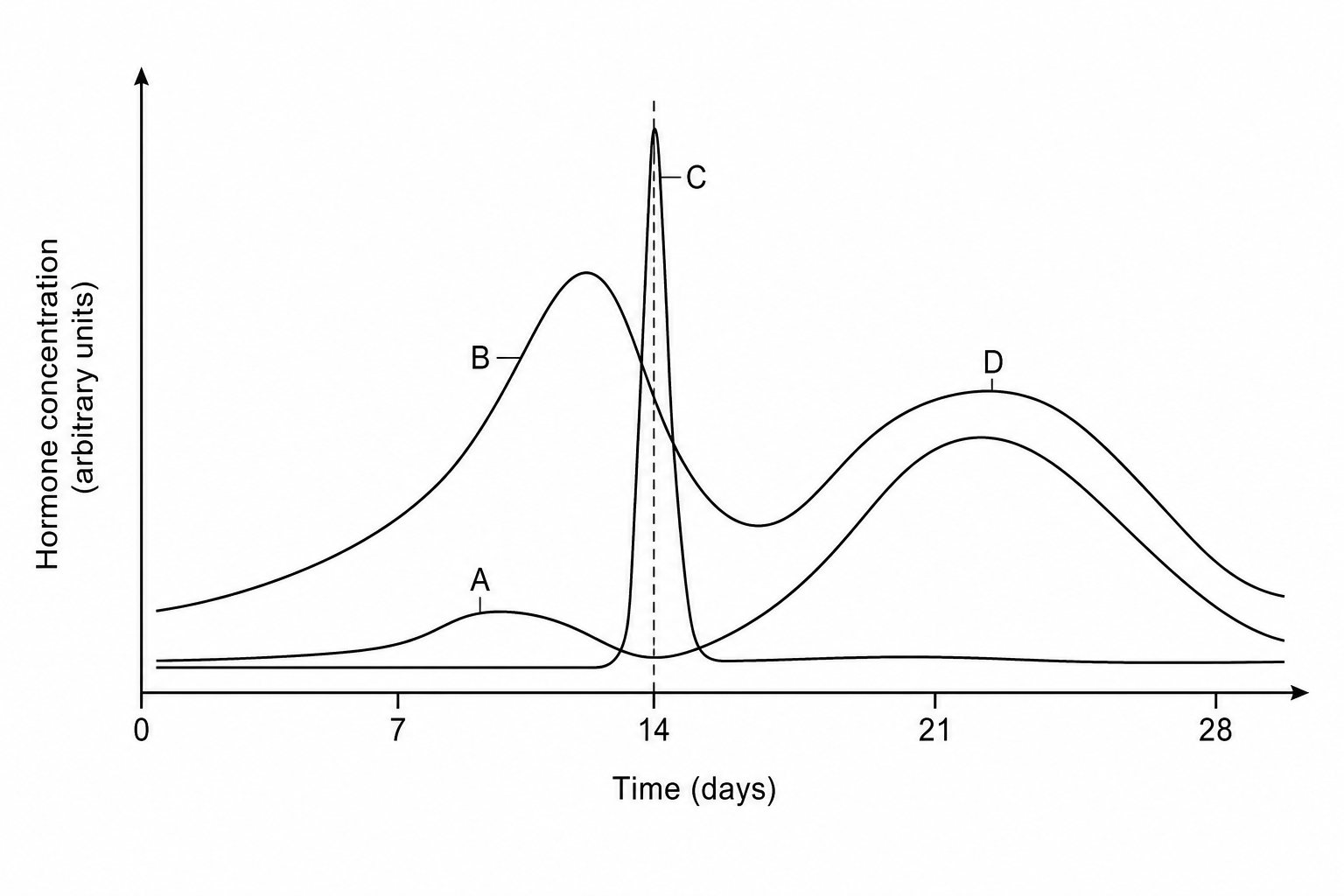 Menstrual cycle hormones