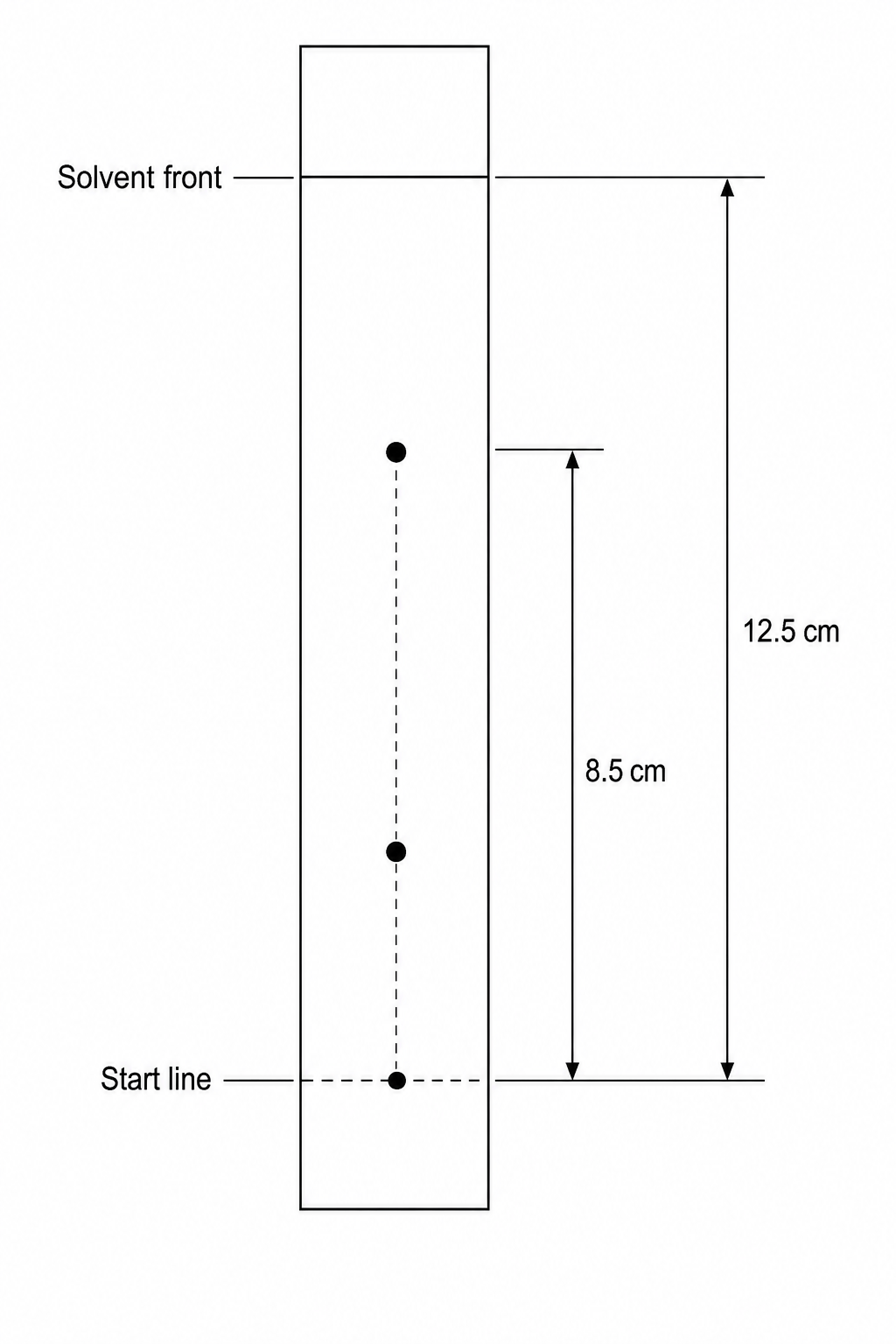 Chromatogram