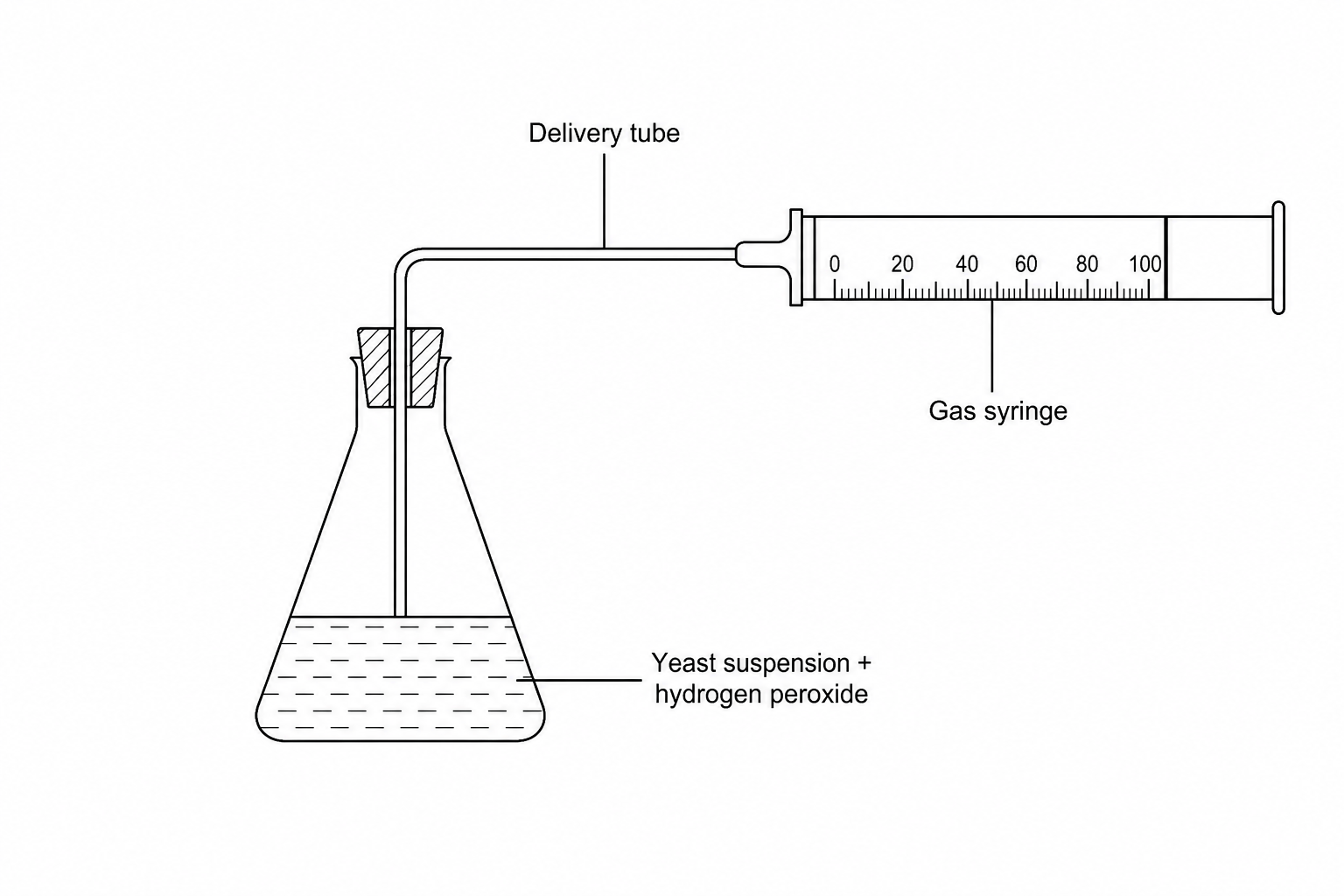 Experimental setup