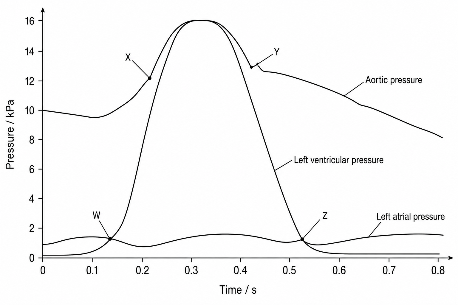 Cardiac pressure curves