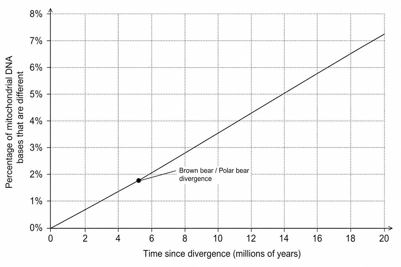 A graph showing percentage of mitochondrial DNA base differences against time since divergence in millions of years for Ursidae. The x-axis is labeled 'Time since divergence (millions of years)' and ranges from 0 to 20 with major grid lines at intervals of 5. There are 10 subdivisions between each major interval, so each small grid square represents 0.5 million years. The y-axis is labeled 'Percentage of mitochondrial DNA bases that are different' and ranges from 0 to 8% with major grid lines at intervals of 1.0%. There are 5 subdivisions between each 1.0% interval, so each small grid square represents 0.2%. A straight line of best fit starts at the origin (0, 0) and goes up to (20, 7.2). A point representing the divergence of brown bears and polar bears is plotted at a percentage difference of 1.8%.