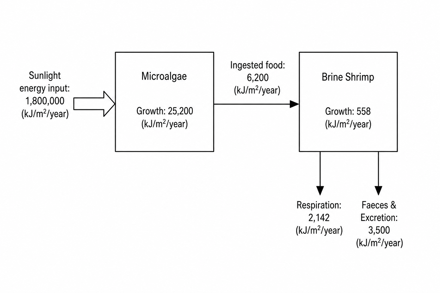 Energy flow diagram of a marine aquaculture system