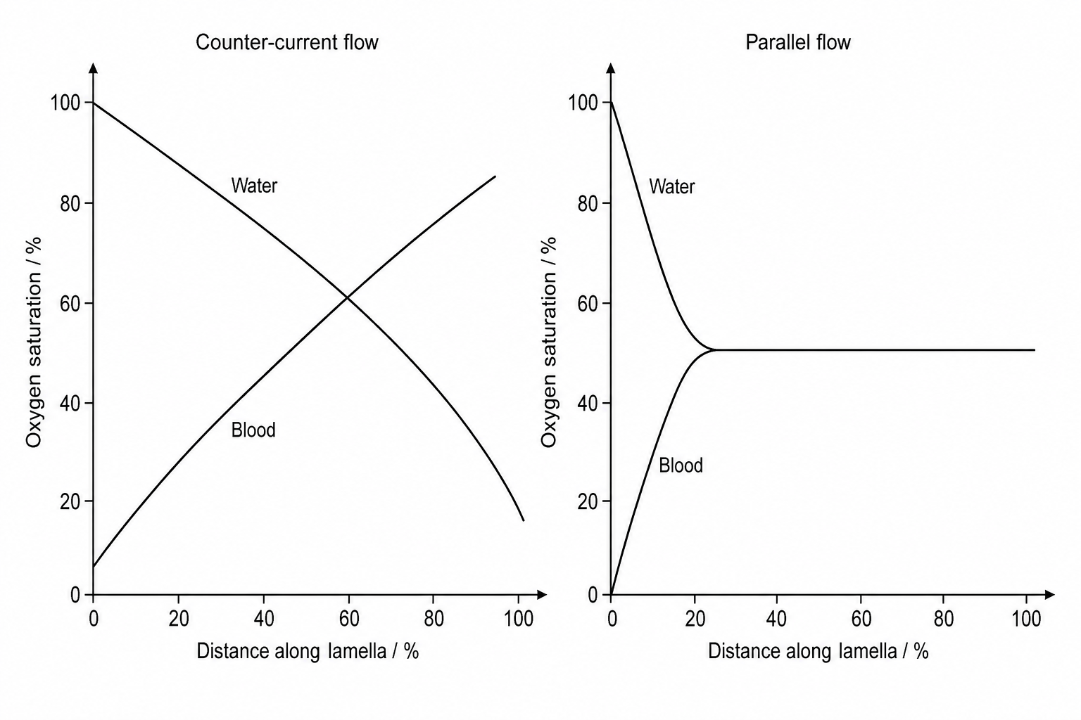 Oxygen saturation profiles in counter-current and parallel flow