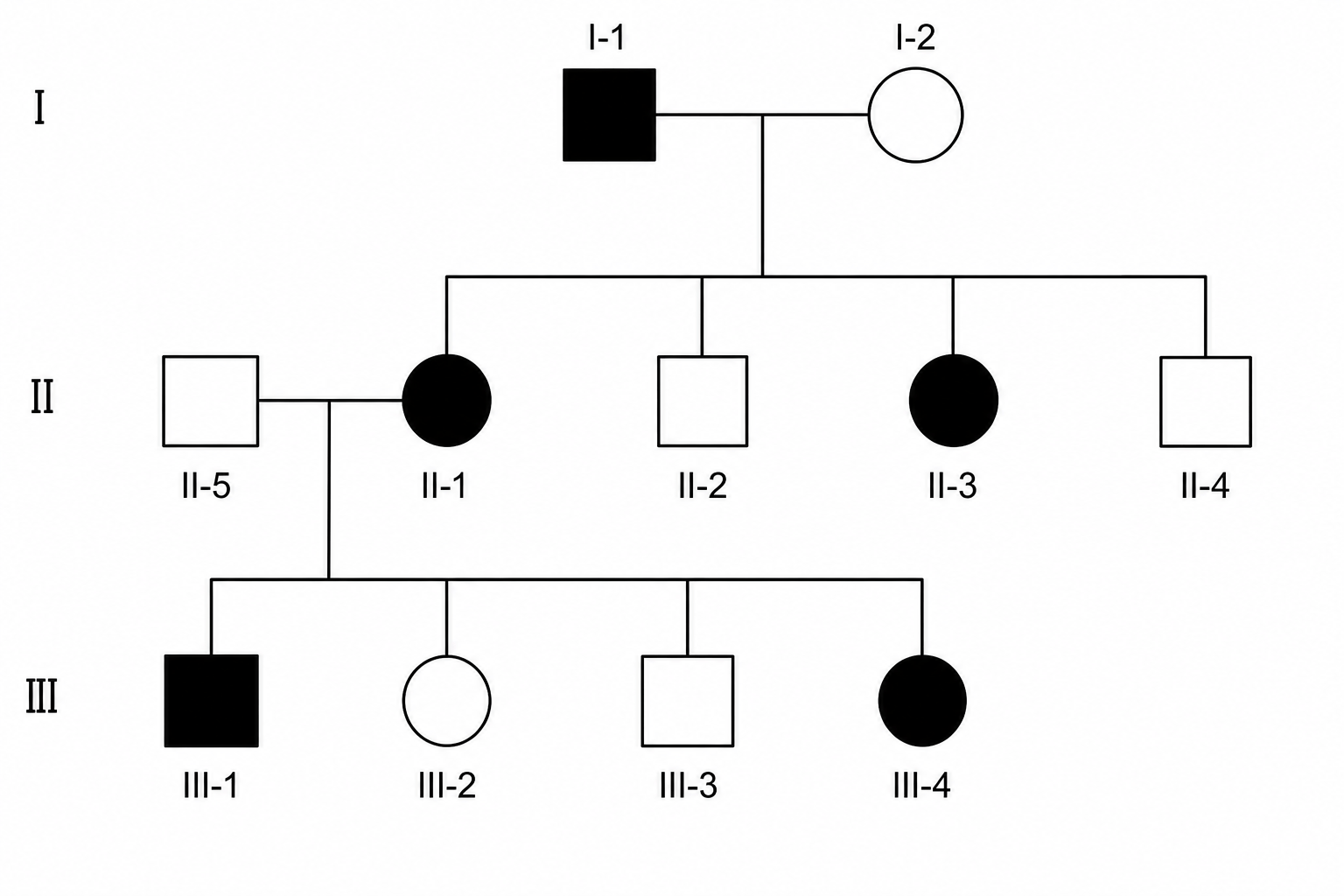 Pedigree Diagram