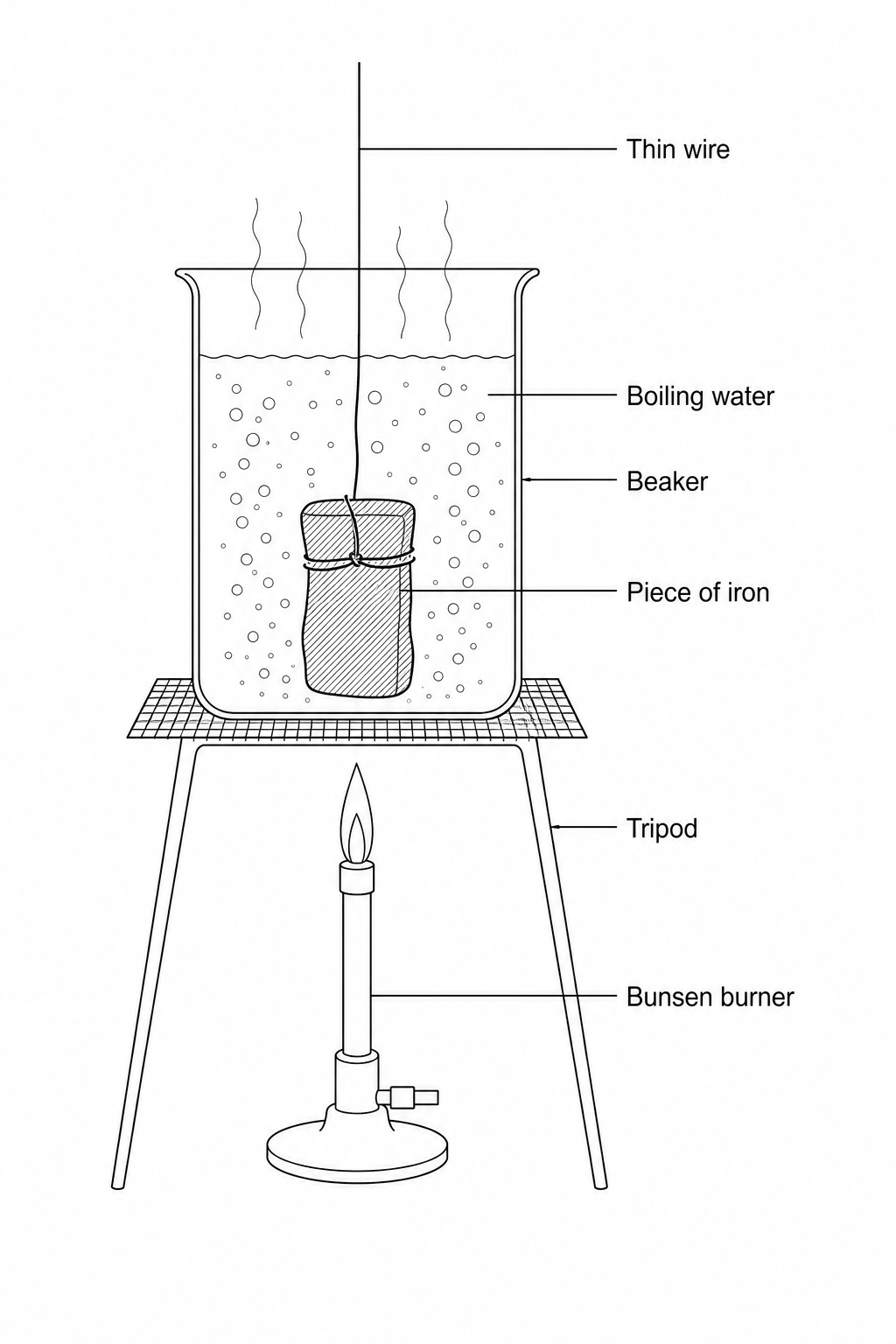 A diagram showing a glass beaker filled with boiling water, with steam rising. A piece of iron is fully submerged in the water. A thin wire is tied around the iron and extends out of the top of the beaker. The beaker is supported on a tripod with a gauze, being heated by a Bunsen burner below.