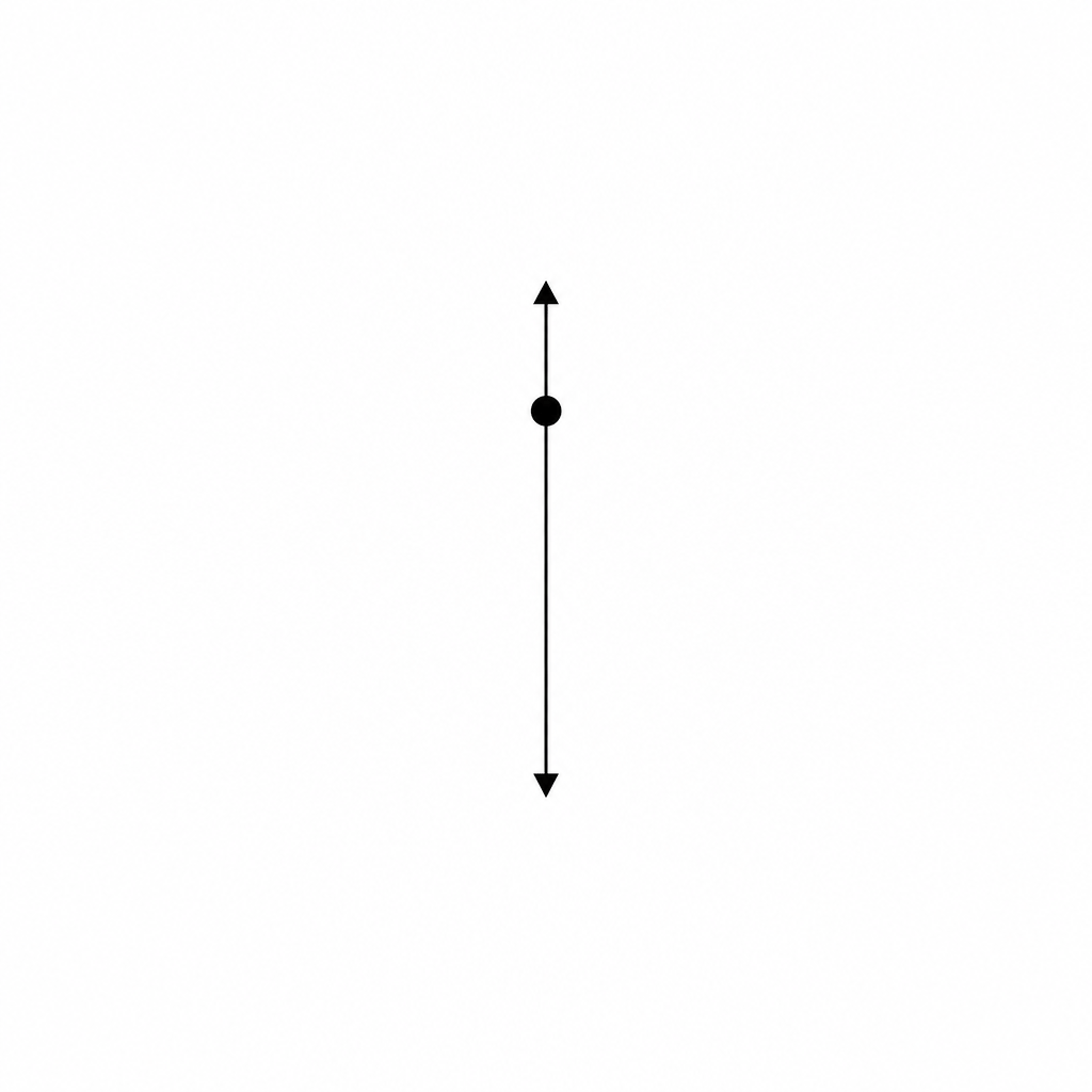 A free-body force diagram of a descending scientific probe.
