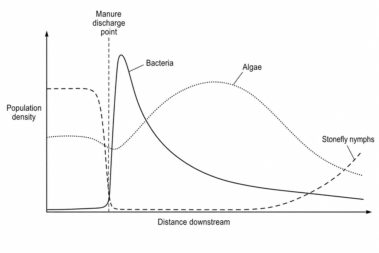 Line graph showing the population densities of three organisms along a stream before and after a manure discharge point.