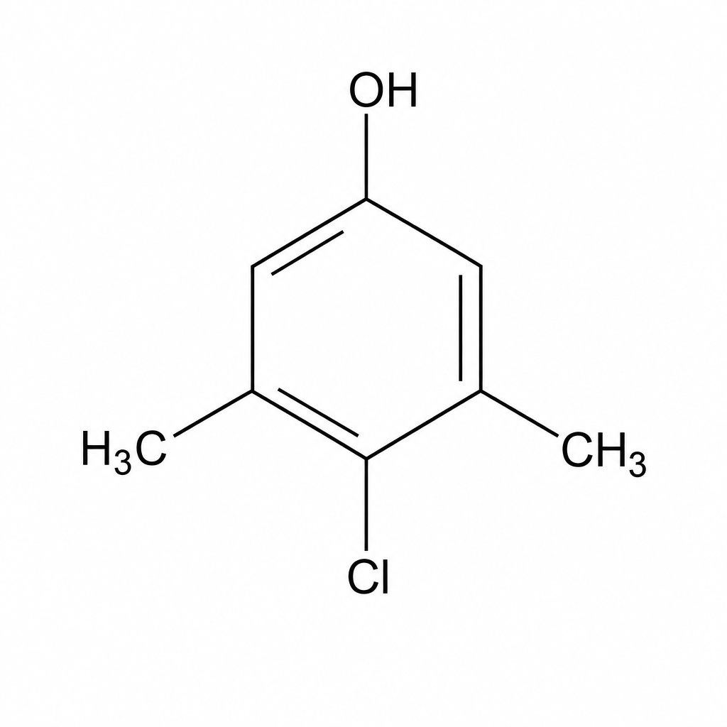 The chemical structure of chloroxylenol. It consists of a benzene ring with a hydroxyl group (-OH) at position 1 (top position), a methyl group (-CH3) at position 3, another methyl group (-CH3) at position 5, and a chlorine atom (-Cl) at position 4 (bottom position).