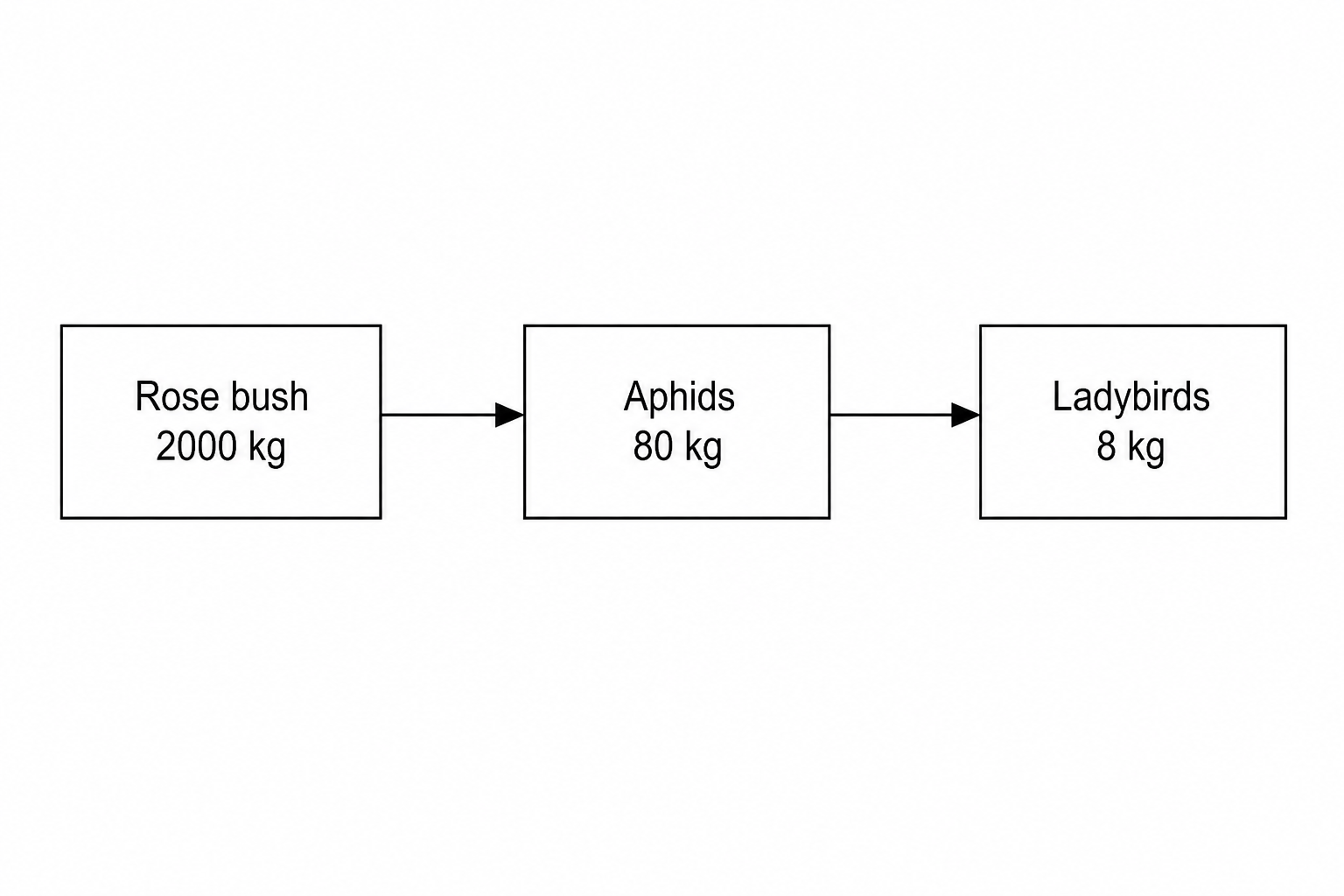 Food chain diagram with biomass values
