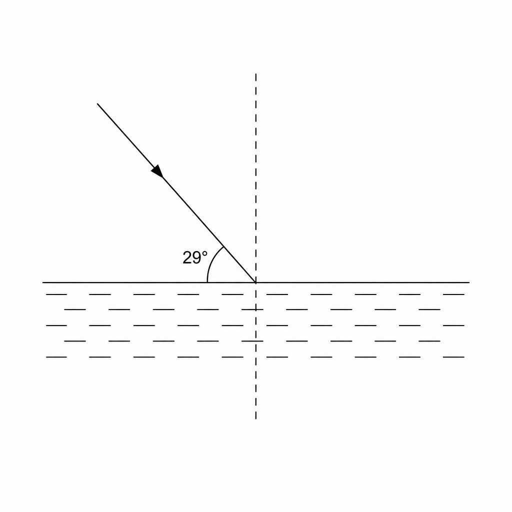 A light ray is incident on a horizontal liquid surface. The angle between the incident ray and the liquid surface is 29 degrees. A dashed normal line is perpendicular to the surface.