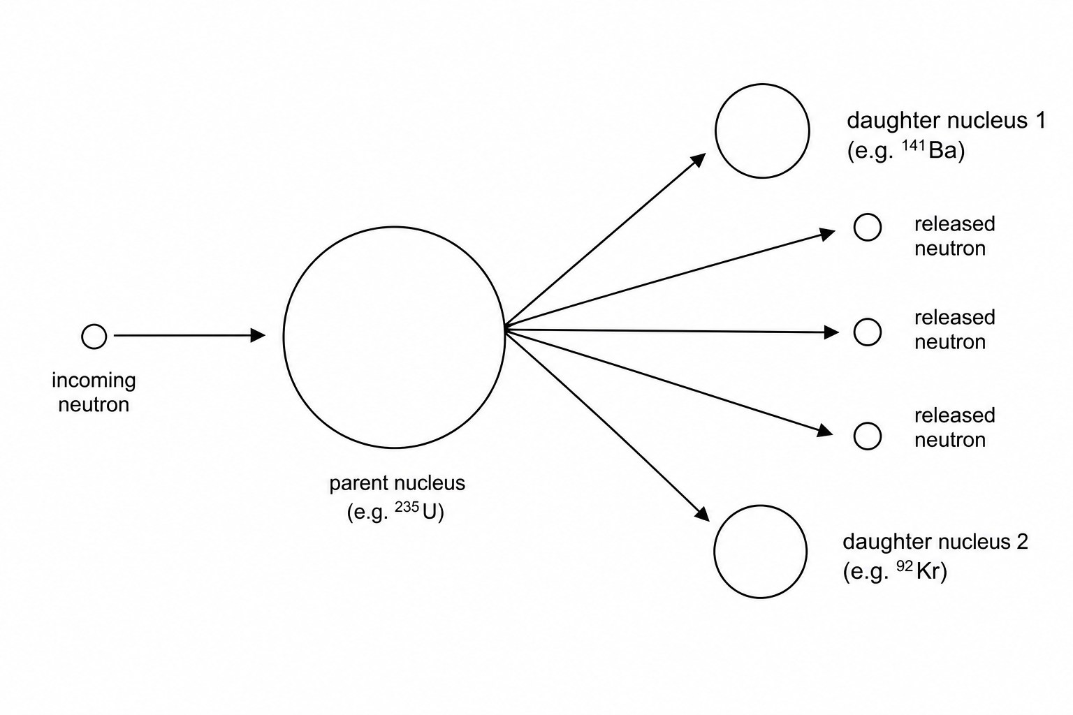 Diagram showing a single small black dot representing an incoming neutron with an arrow pointing to a large circle. To the right of the large circle, five arrows point outwards: two of these lead to medium-sized circles representing products, and three lead to small black dots representing released neutrons.