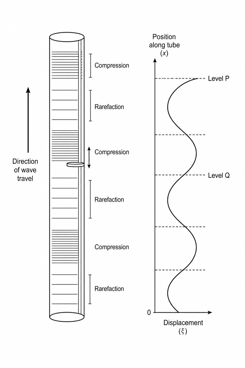 Longitudinal wave in a vertical tube