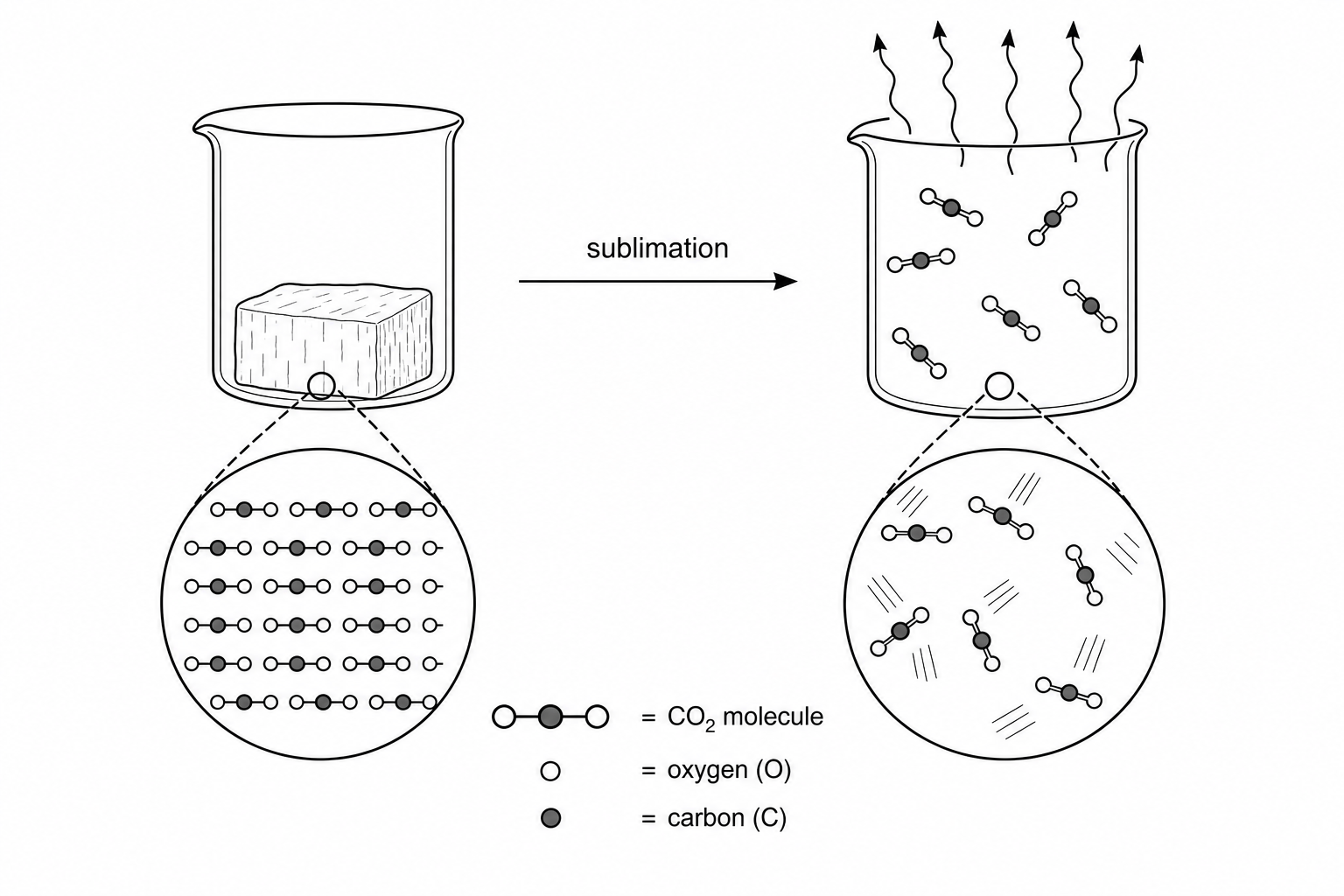 Diagram showing the sublimation of solid carbon dioxide. On the left, a beaker contains a solid block of dry ice with a magnified view of tightly packed, neatly arranged carbon dioxide molecules. An arrow labeled 'sublimation' points to the right, showing carbon dioxide gas escaping the beaker, with a magnified view of widely separated carbon dioxide molecules moving rapidly and randomly. The chemical identity of the molecules (CO2) remains unchanged throughout.