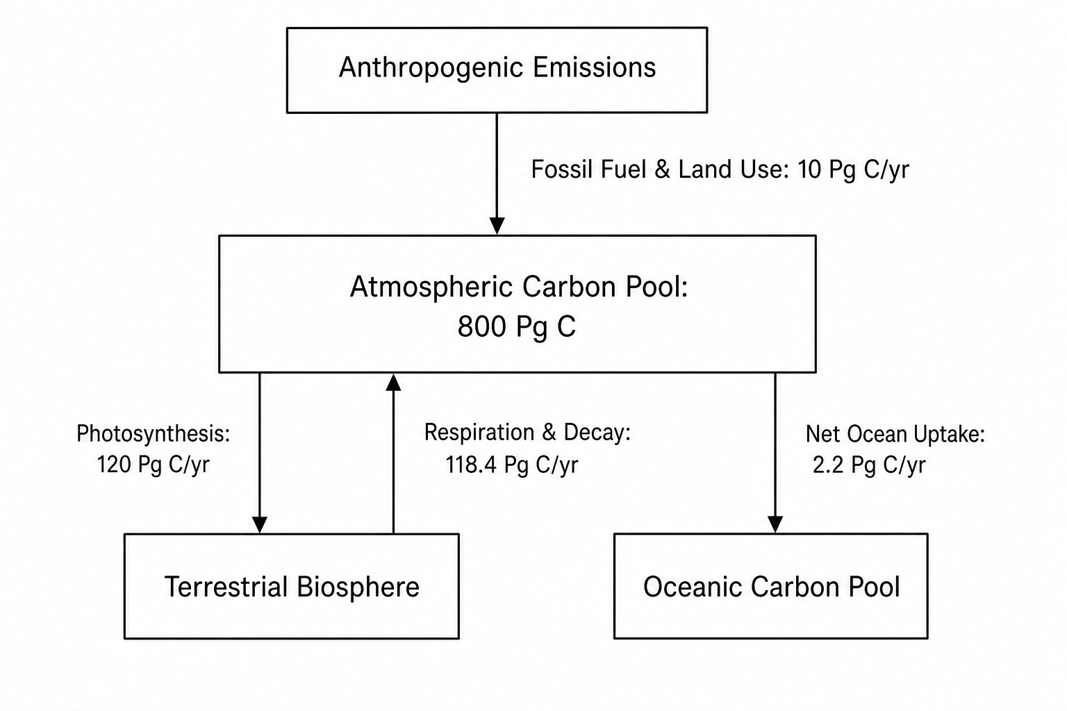 Carbon Cycle Fluxes