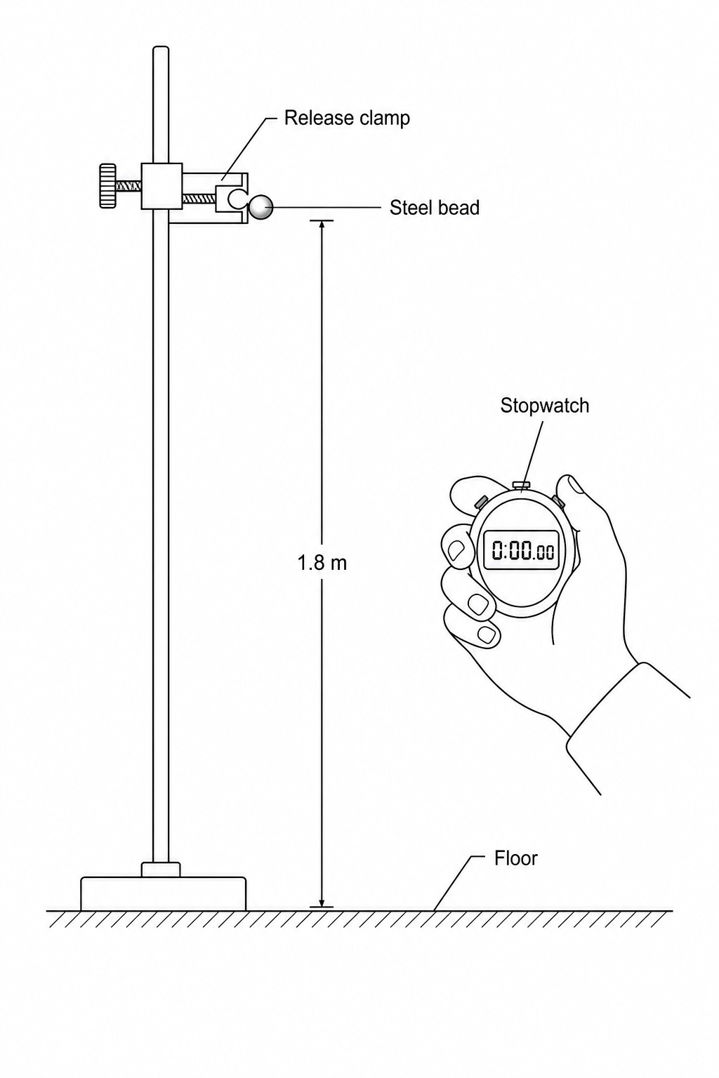 A steel bead is held by a release clamp at a height of 1.8 m above the ground. A student holds a digital stopwatch, prepared to start timing when the bead is released and stop it when it hits the floor.