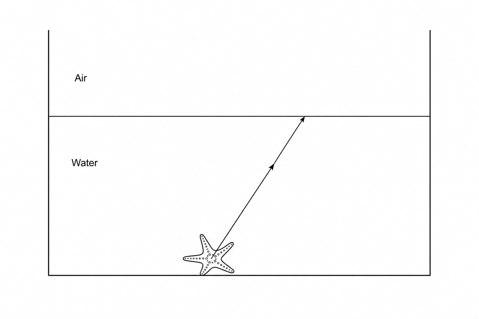 Fig. 22.1: A cross-section of an aquarium with water at the bottom and air on top, separated by a flat horizontal interface. A starfish is drawn at the bottom. A straight line with an arrow pointing upwards and slightly to the right starts from the starfish and ends at the water-air interface.
