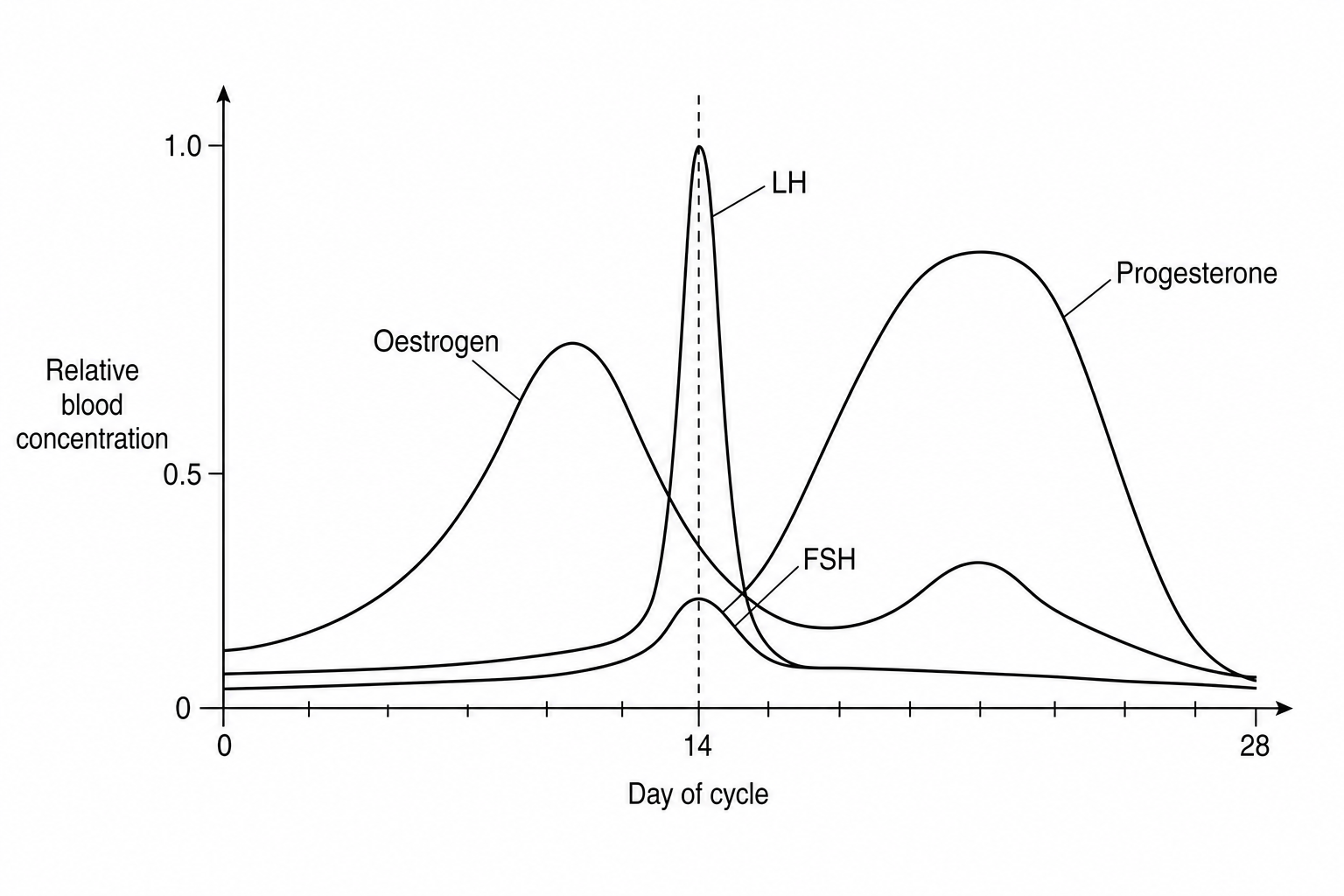 Figure 1: Relative concentrations of LH, FSH, oestrogen, and progesterone during a typical 28-day menstrual cycle.