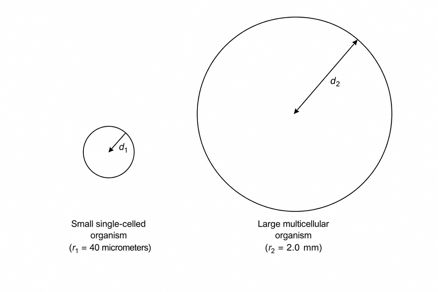The challenges of size and diffusion distance scaling