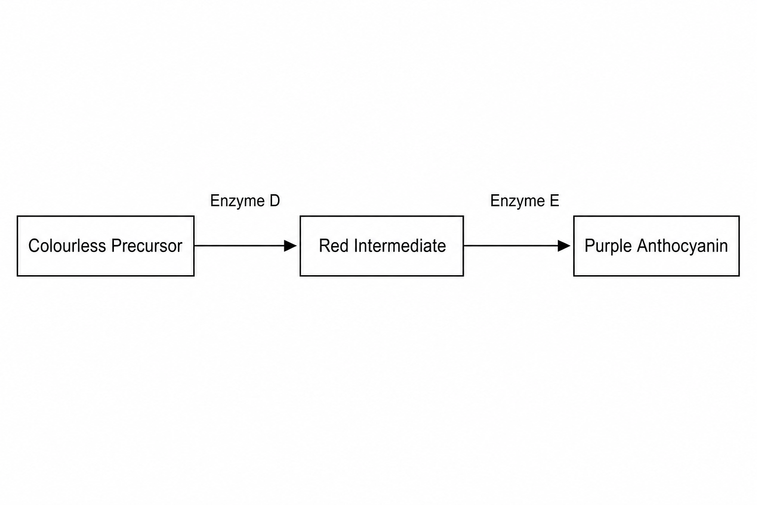 Biochemical pathway