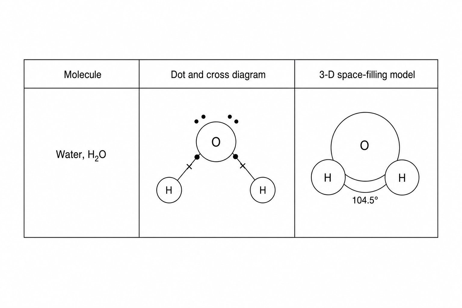 A table with two rows and three columns. Row 1 header: 'Molecule', 'Dot and cross diagram', '3-D space filling model'. Row 2 contains: Column 1: 'Water, H2O'. Column 2: 'A dot and cross diagram of a water molecule showing a central oxygen atom sharing electrons with two hydrogen atoms. There are two shared pairs containing a dot and a cross each, and two lone pairs of electrons (shown as dots) on the oxygen. Column 3: 'A 3D space-filling model of water, showing a red sphere in the middle for oxygen and two smaller white spheres for hydrogen at a bent angle.'