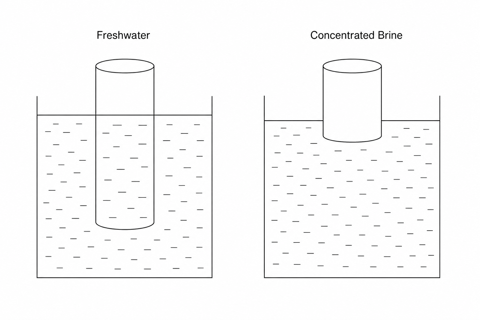 Figure 1: An identical monitoring buoy floating in freshwater and concentrated brine.