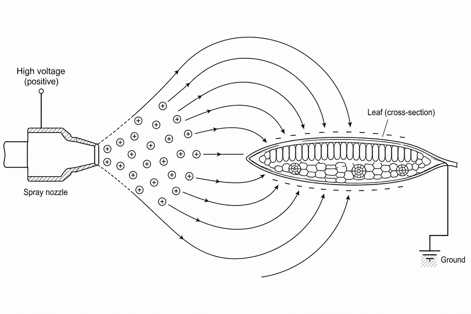 Electrostatic crop spraying system