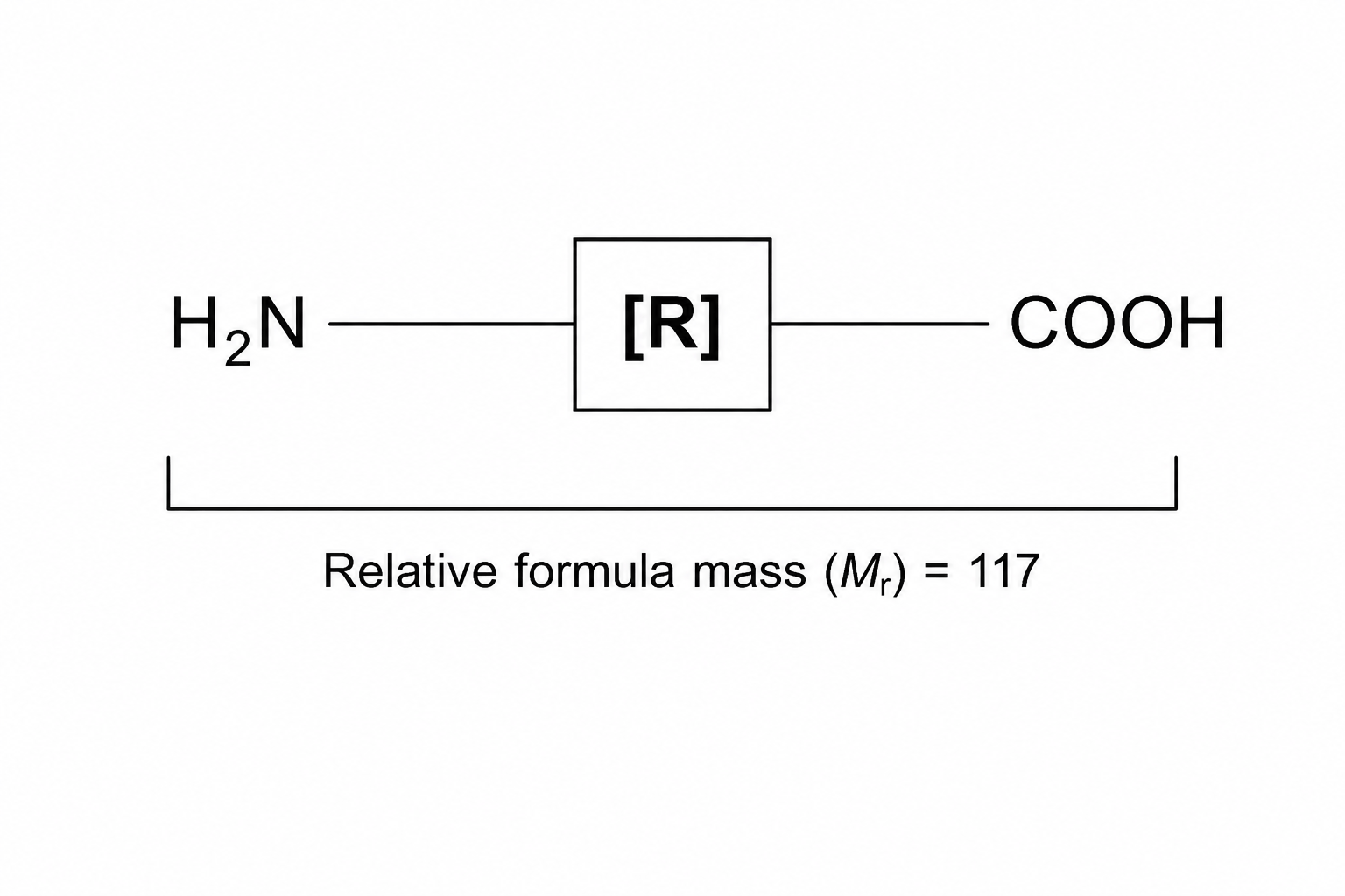 General Amino Acid Structure