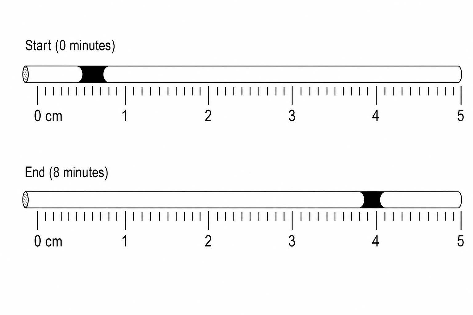 Figure 2: Close-up of capillary scale. Top scale at 'Start (0 minutes)' shows the meniscus of the colored oil drop aligned with the 0.5 cm mark. Bottom scale at 'End (8 minutes)' shows the meniscus aligned with the 4.1 cm mark.