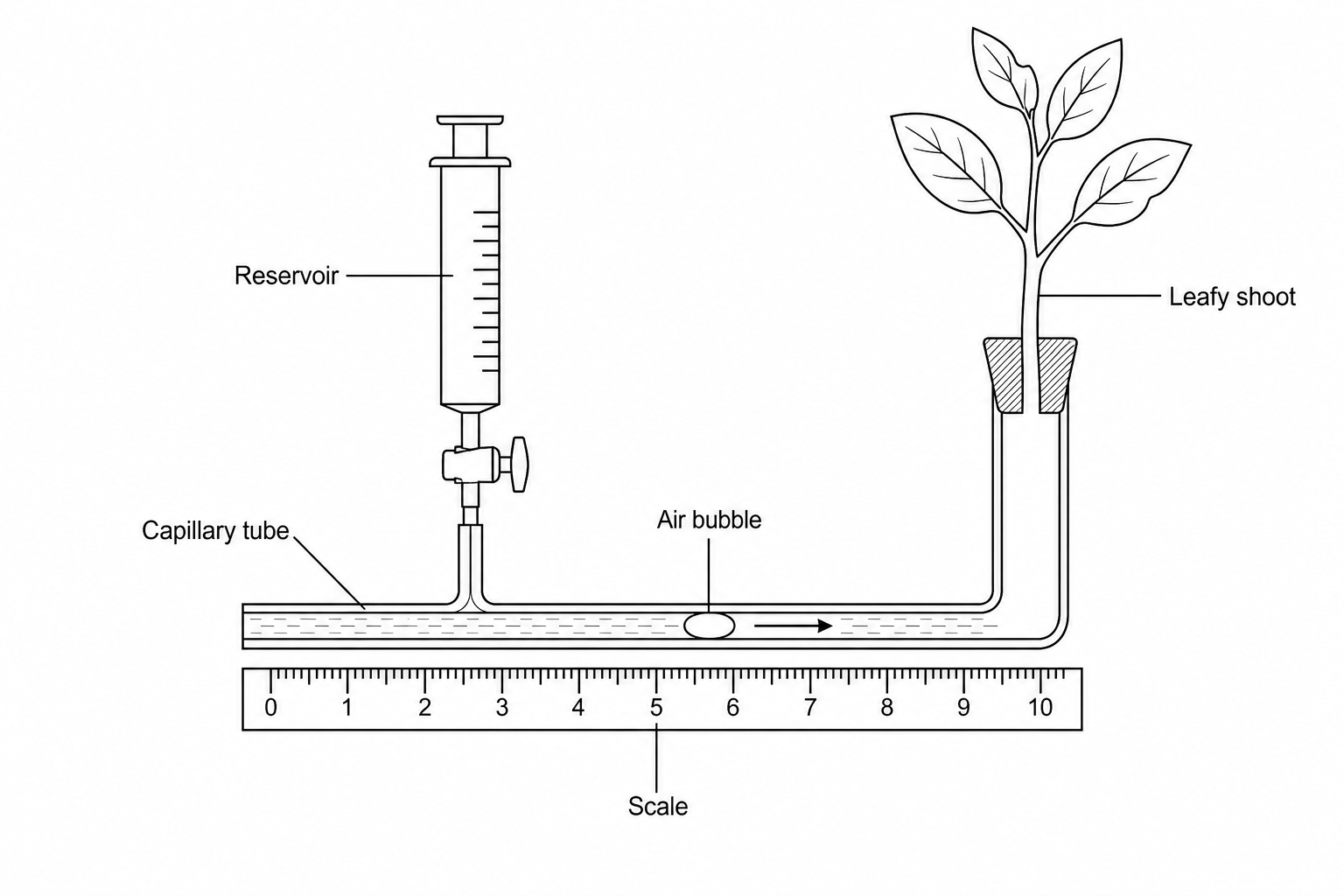A diagram showing a potometer experiment to measure the rate of water uptake. It features a plant shoot sealed with a rubber stopper into the right-hand end of a U-shaped capillary tube filled with water. A syringe reservoir is connected between the shoot and the capillary tube. At the upper-left end of the capillary tube, there is an air bubble. The movement of this air bubble along the tube indicates the volume of water transpired by the shoot over time.