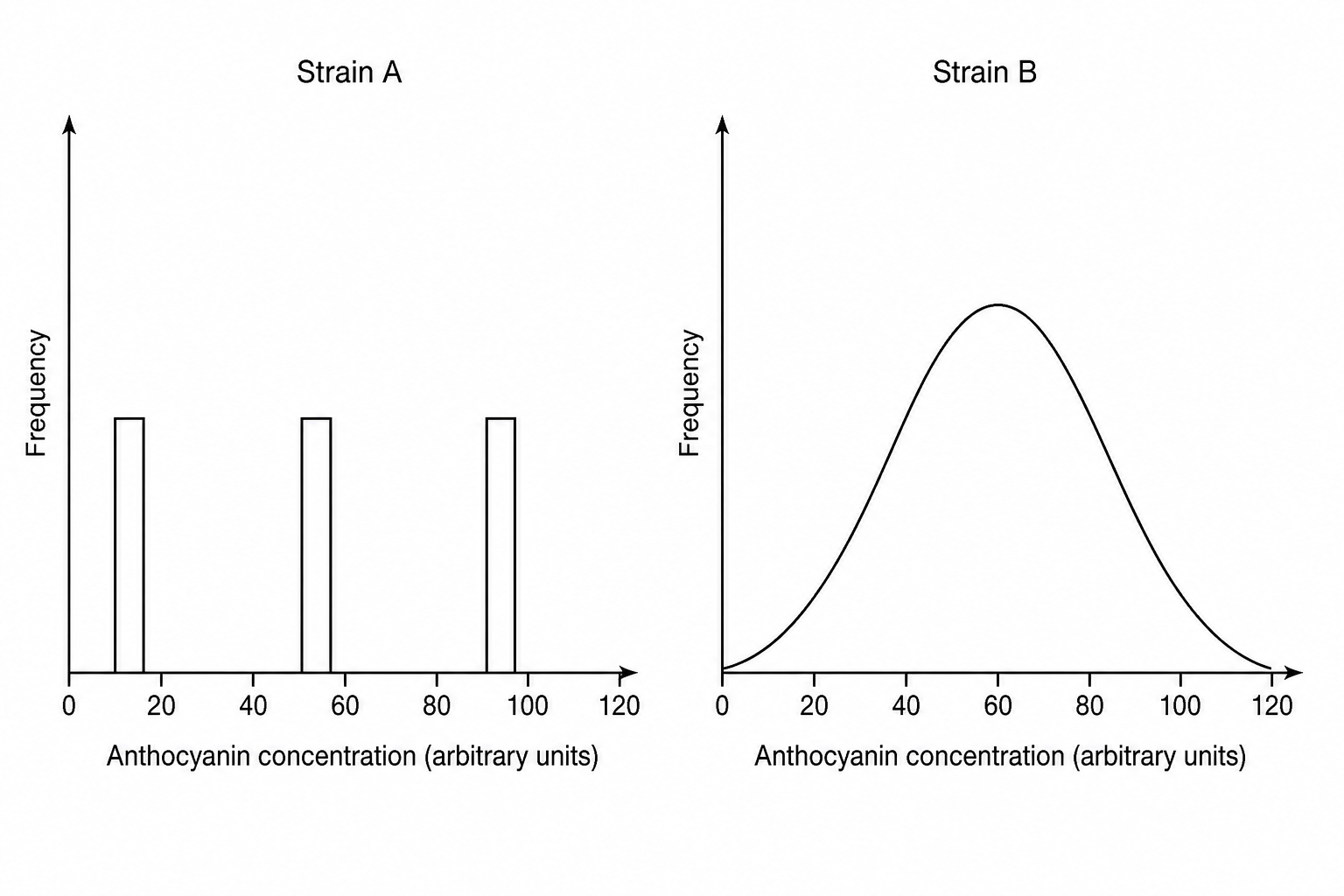 Anthocyanin phenotypic distribution
