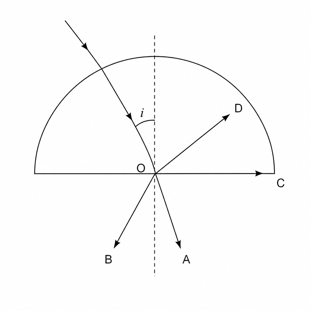 A light ray travels through a semi-circular plastic block from the curved boundary towards the central point O on the flat boundary. A normal line is drawn perpendicular to the flat boundary at point O. The angle of incidence between the ray inside the plastic and the normal is labeled i. Four possible paths for the ray after reaching point O are shown: Path A bends towards the normal in the air; Path B bends away from the normal in the air; Path C travels along the flat boundary; Path D reflects back into the plastic block with an angle equal to i.